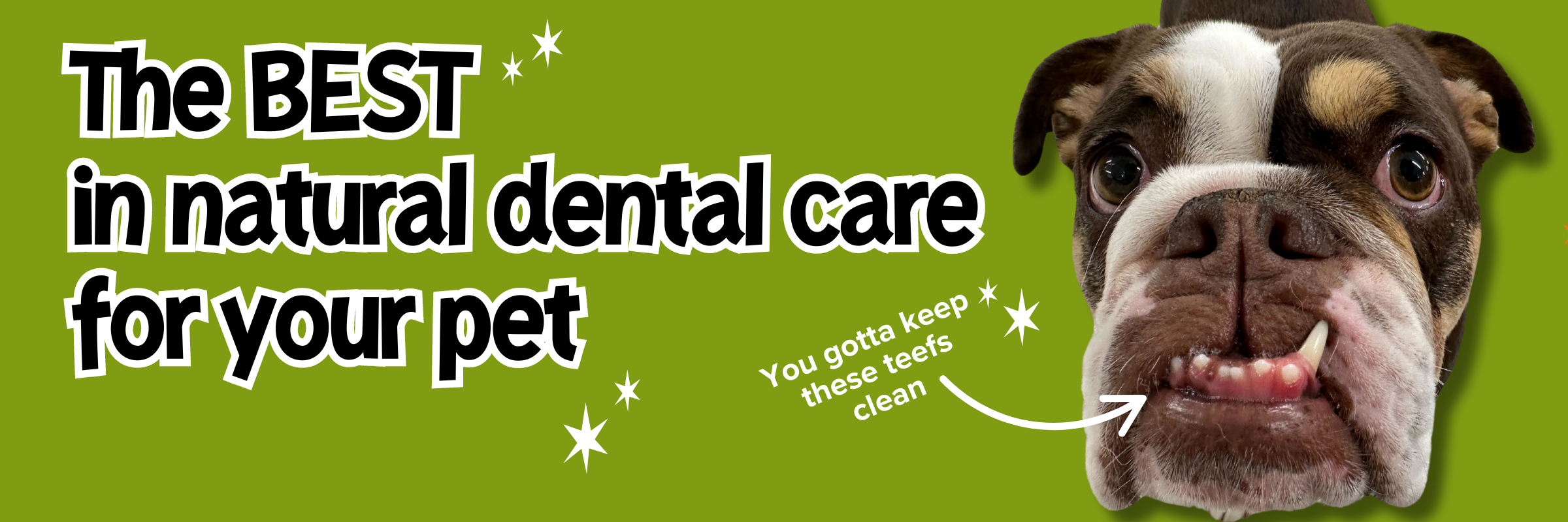 Dog Dental Care All