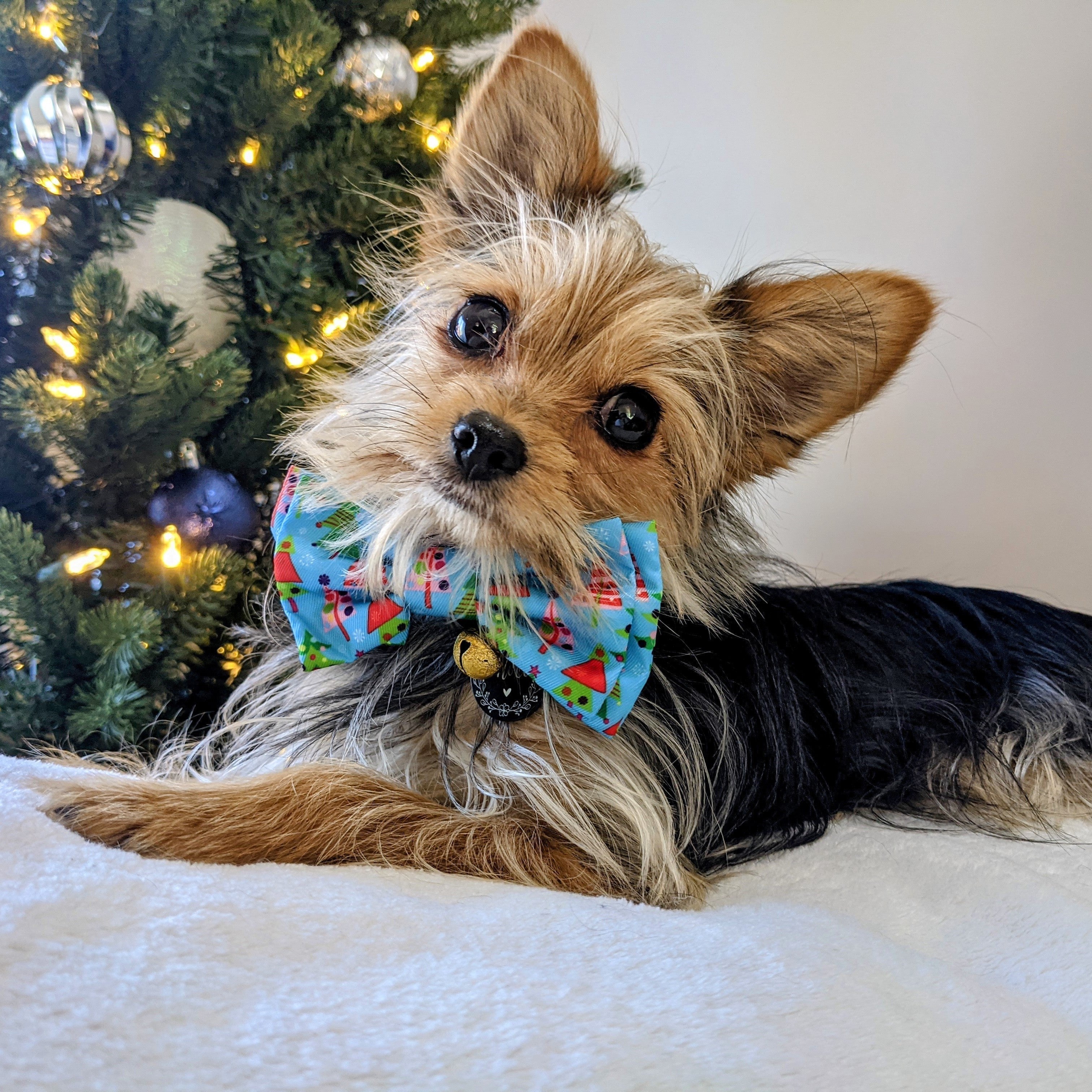 Huxley & Kent Xmas Bow Tie