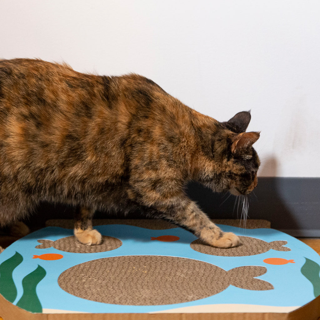 Pearhead Fish Tank Cat Scratch Pad