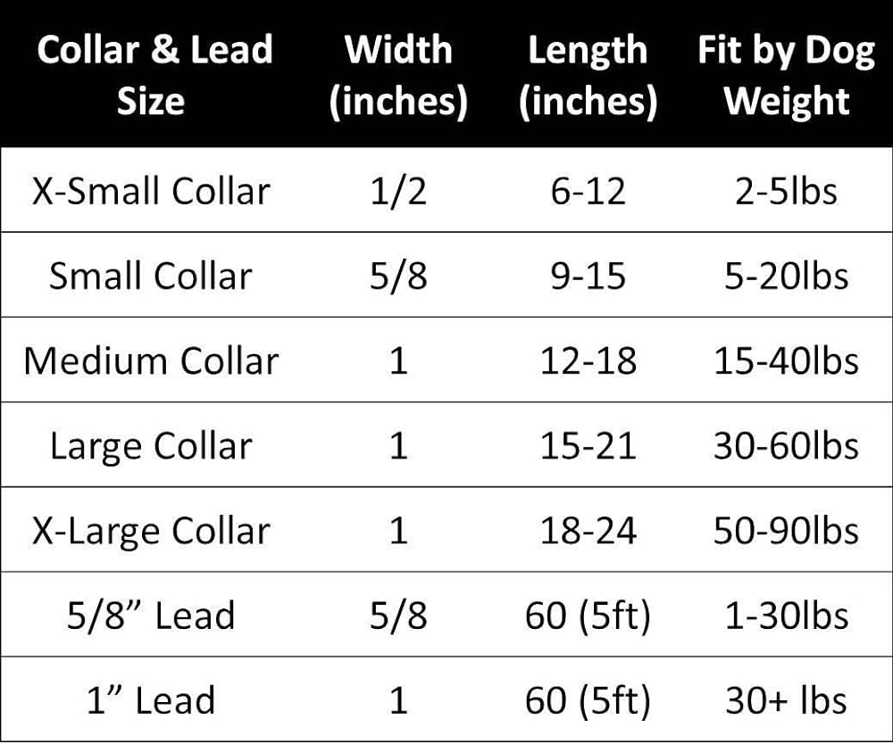 The Worthy Dog Fiesta Stripe Dog Collar