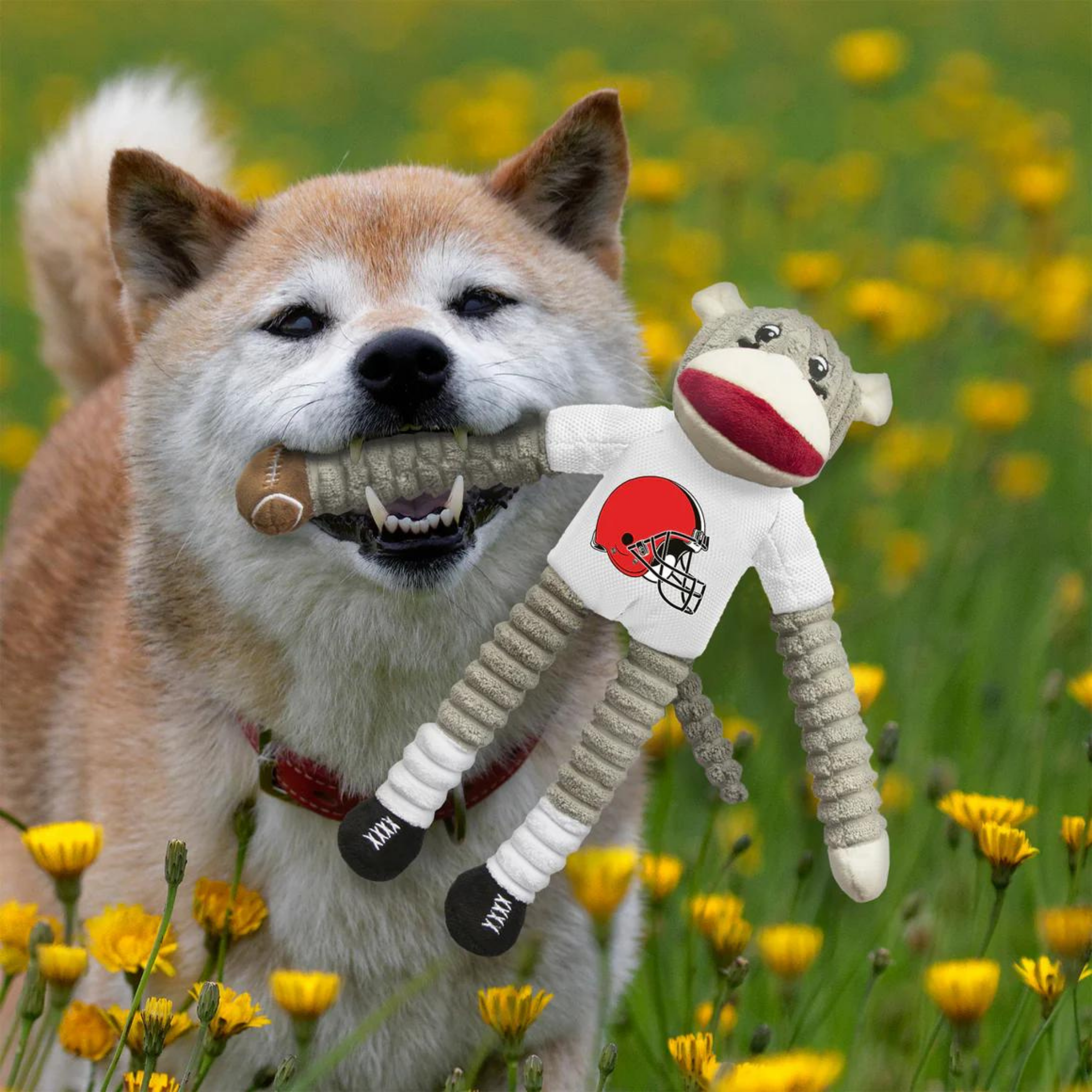 Little Earth Cleveland Browns Sock Monkey Dog Toy