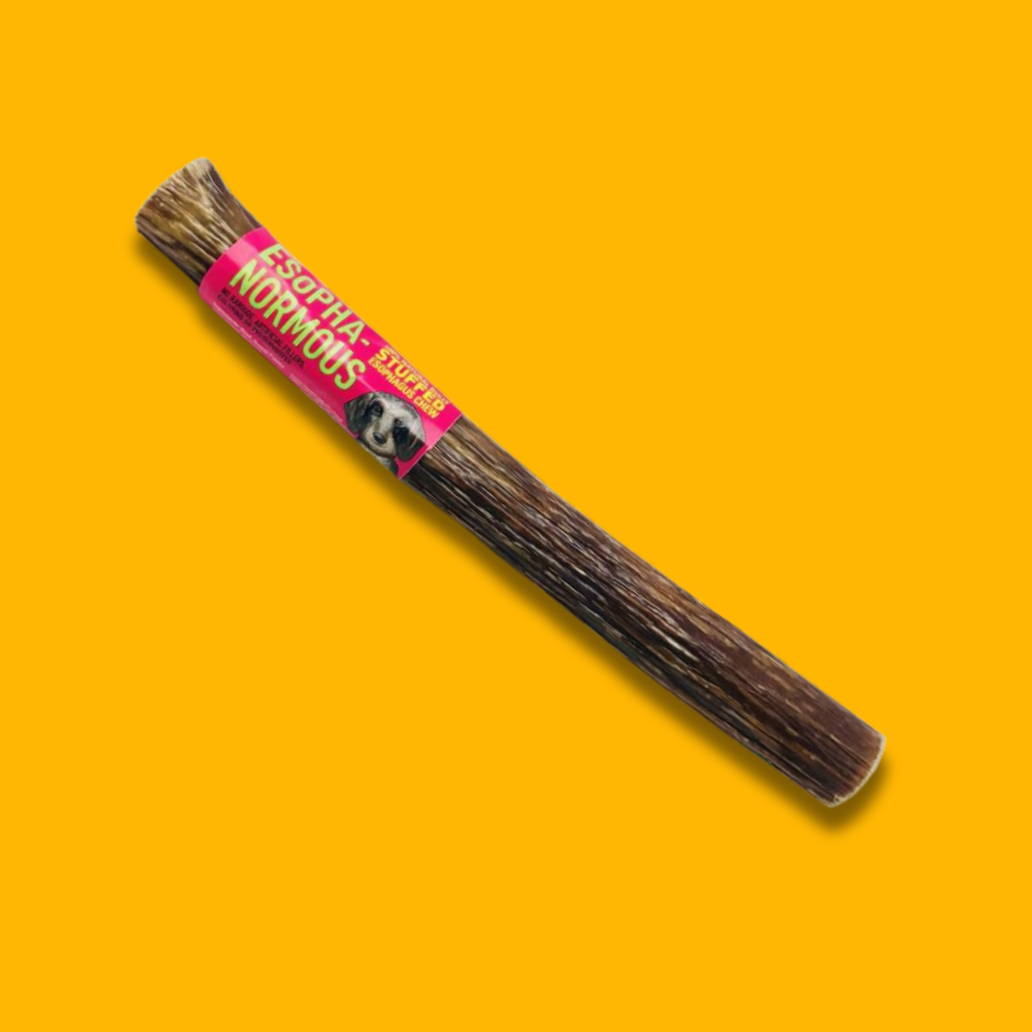 Etta Says! Esophagus Bully Stuffed Chew 10"