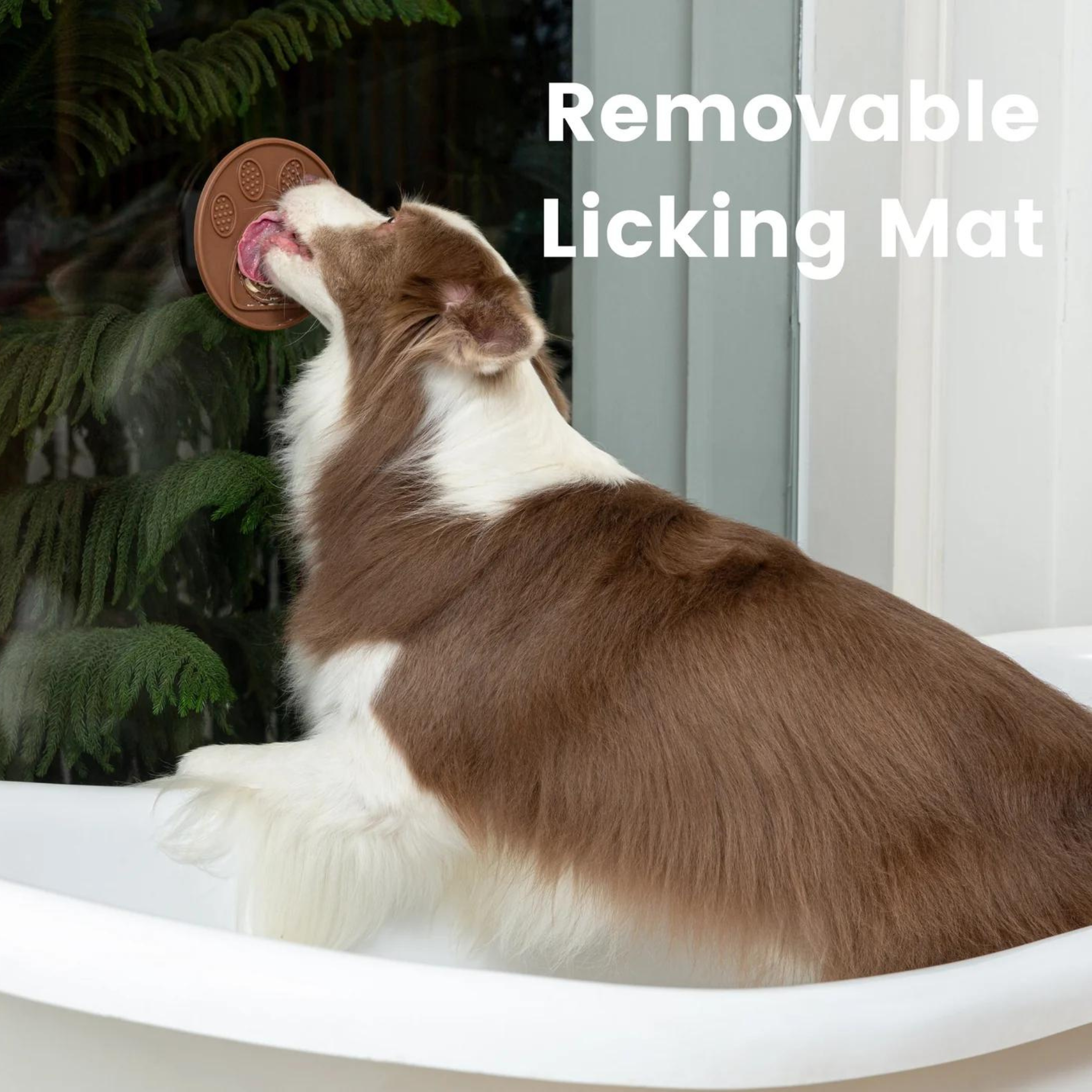 Injoya Cookie Snuffle Mat