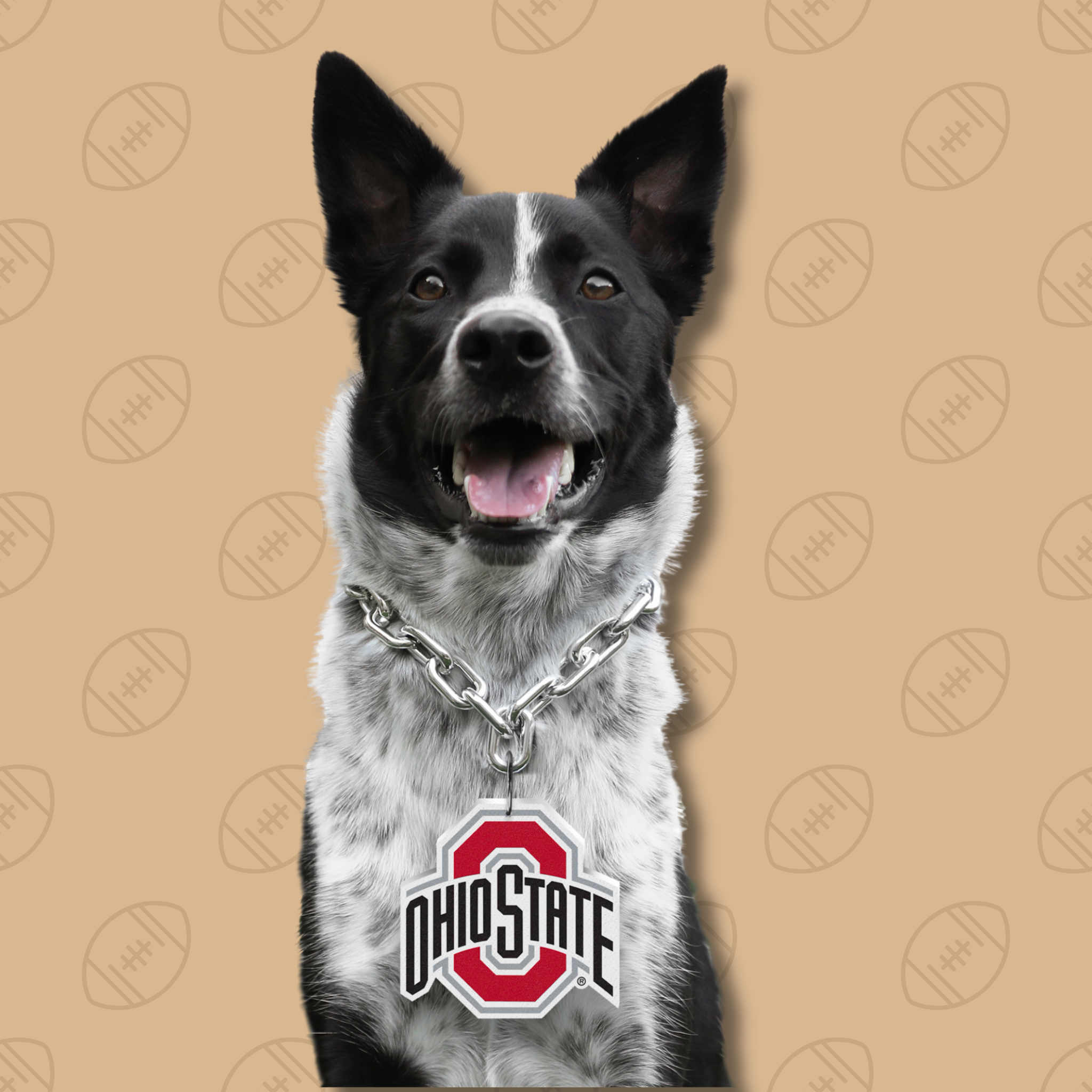 Little Earth Ohio State Fan Dog Chain