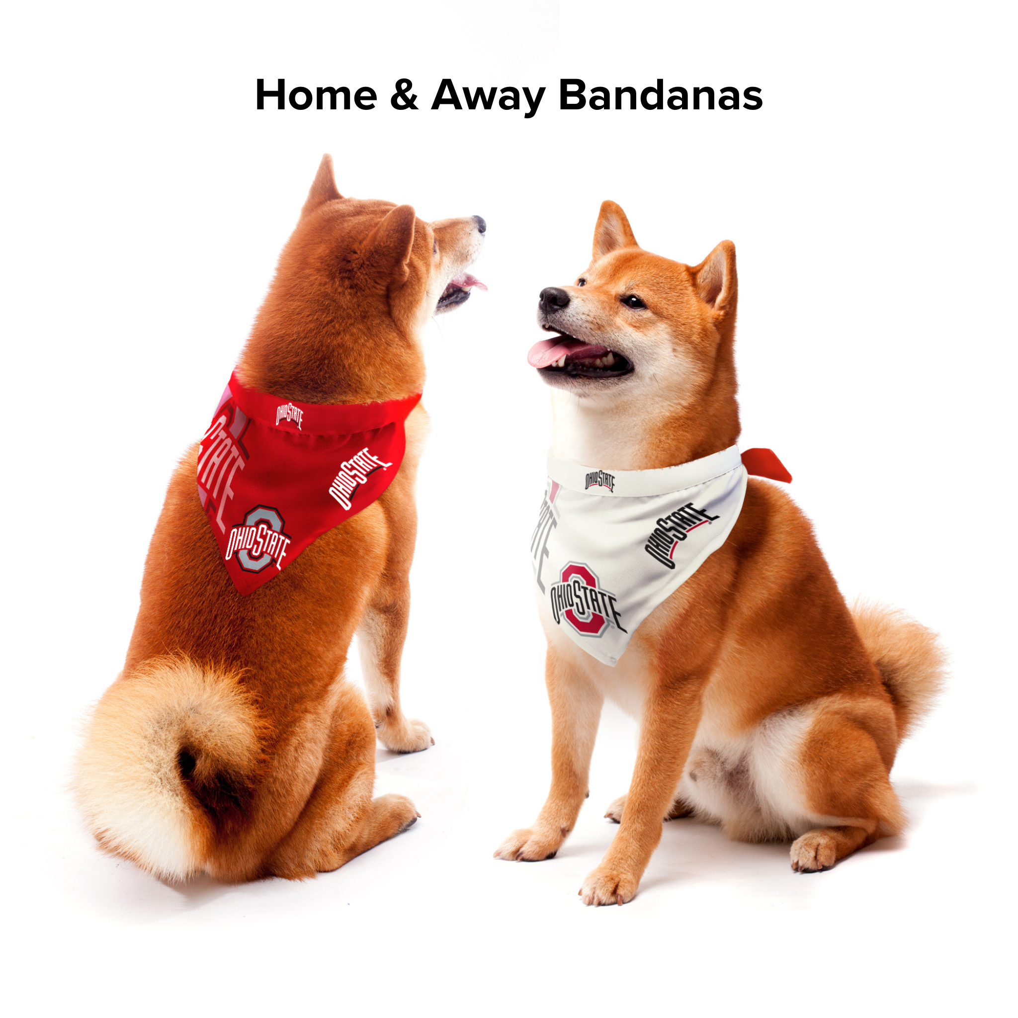 Little Earth Ohio State Home & Away Pet Bandana