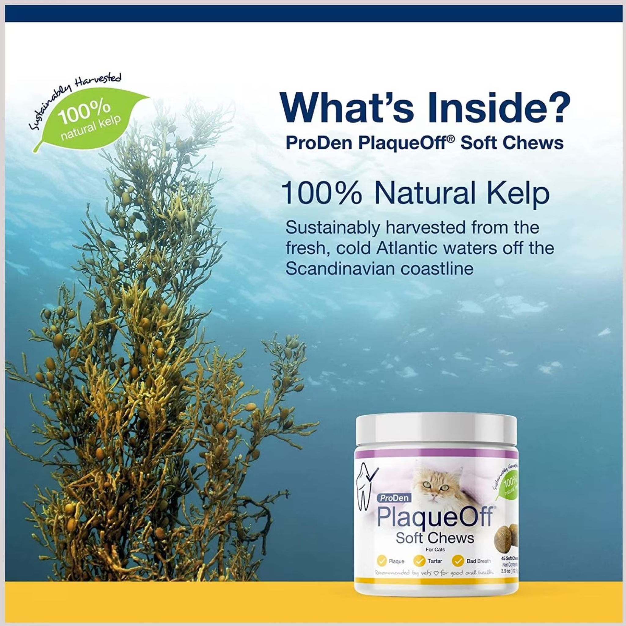 ProDen Plaque Off Soft Chews for Cats