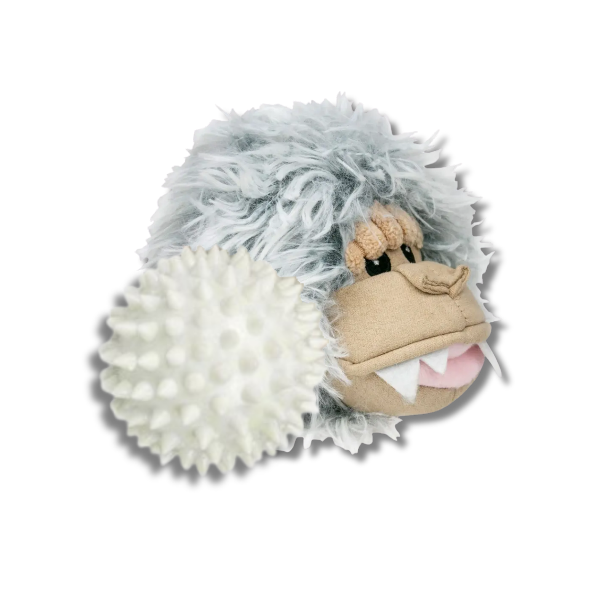 Tall Tails 2 in 1 Fetch Ball Dog Toy