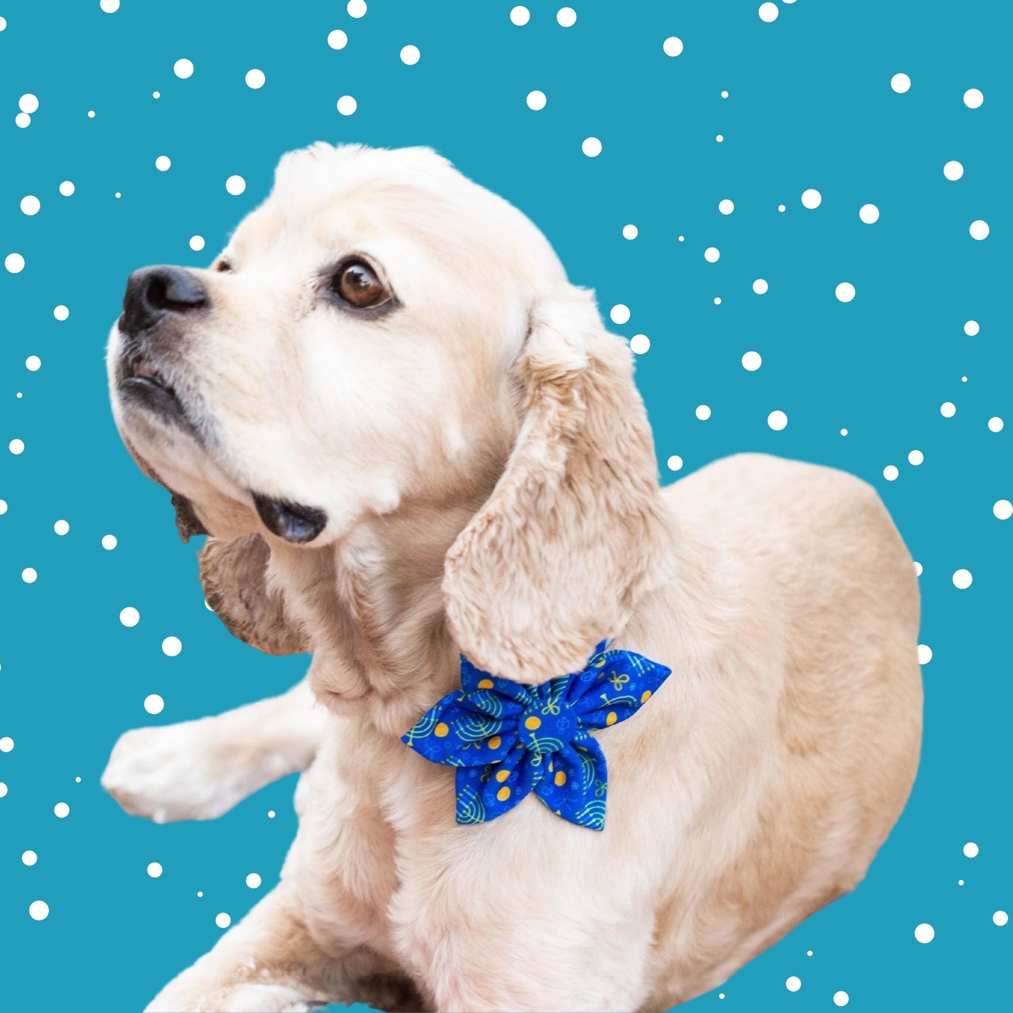 Huxley & Kent Hannukah Pinwheel