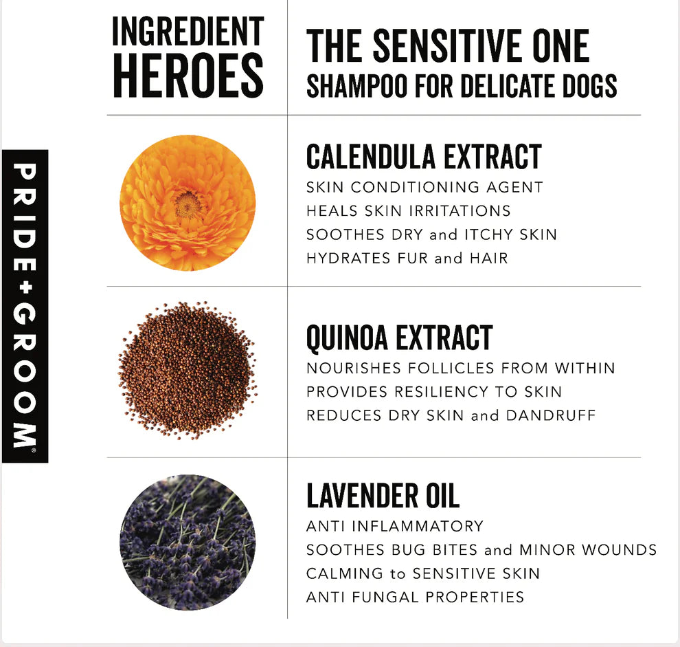 Pride & Groom The Sensitive One Shampoo for Dogs