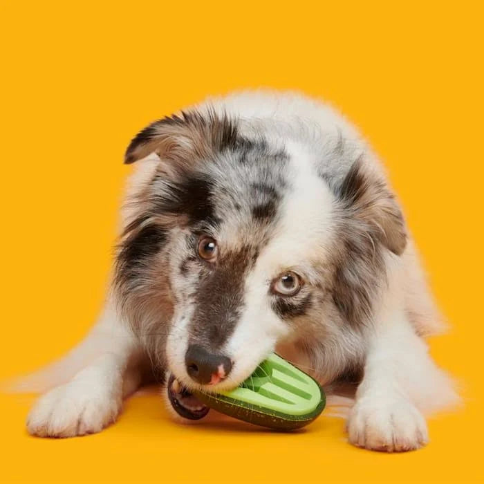 BARK Avocadoggo Super Chewer Dog Toy