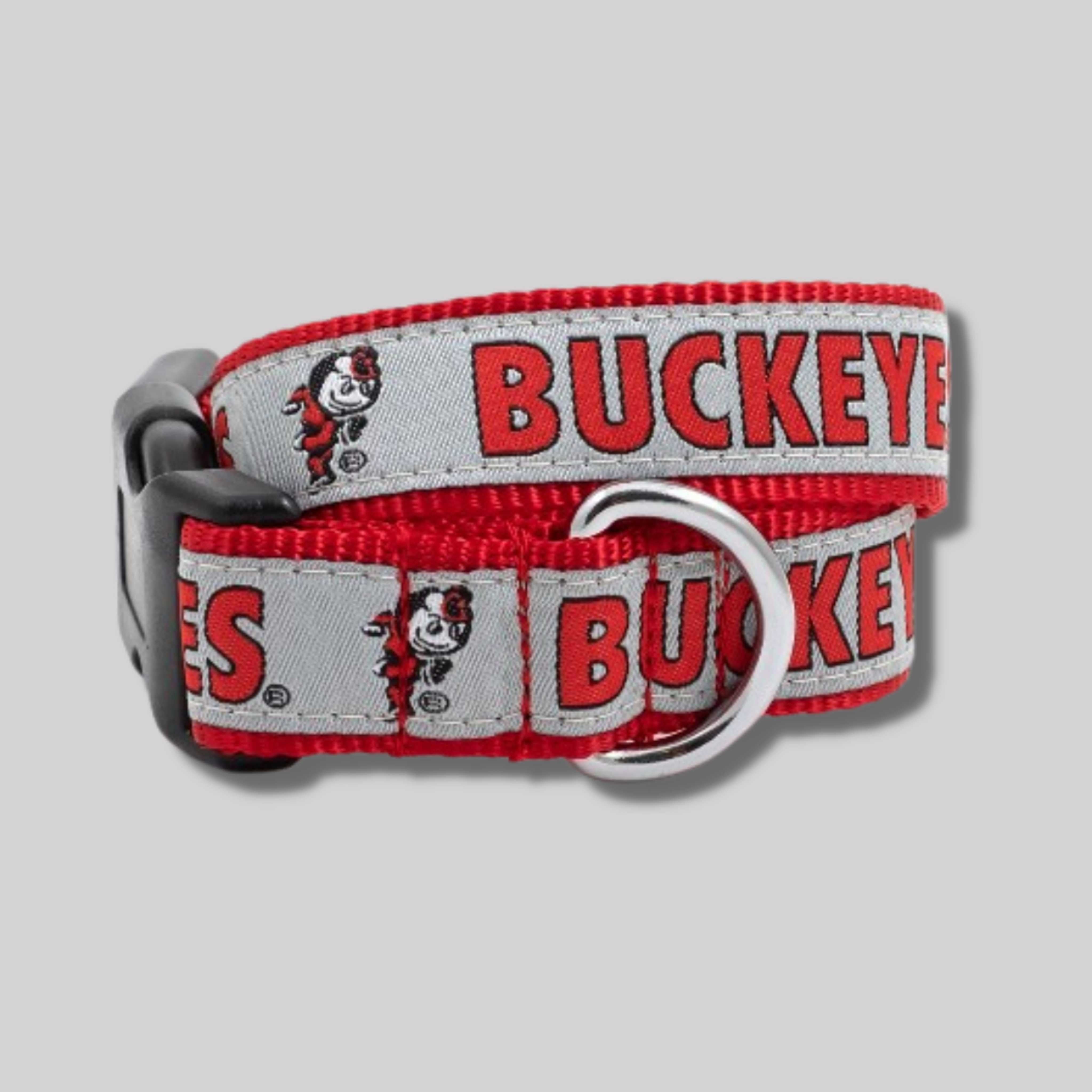The License House Ohio State Brutus Buckeye Collar