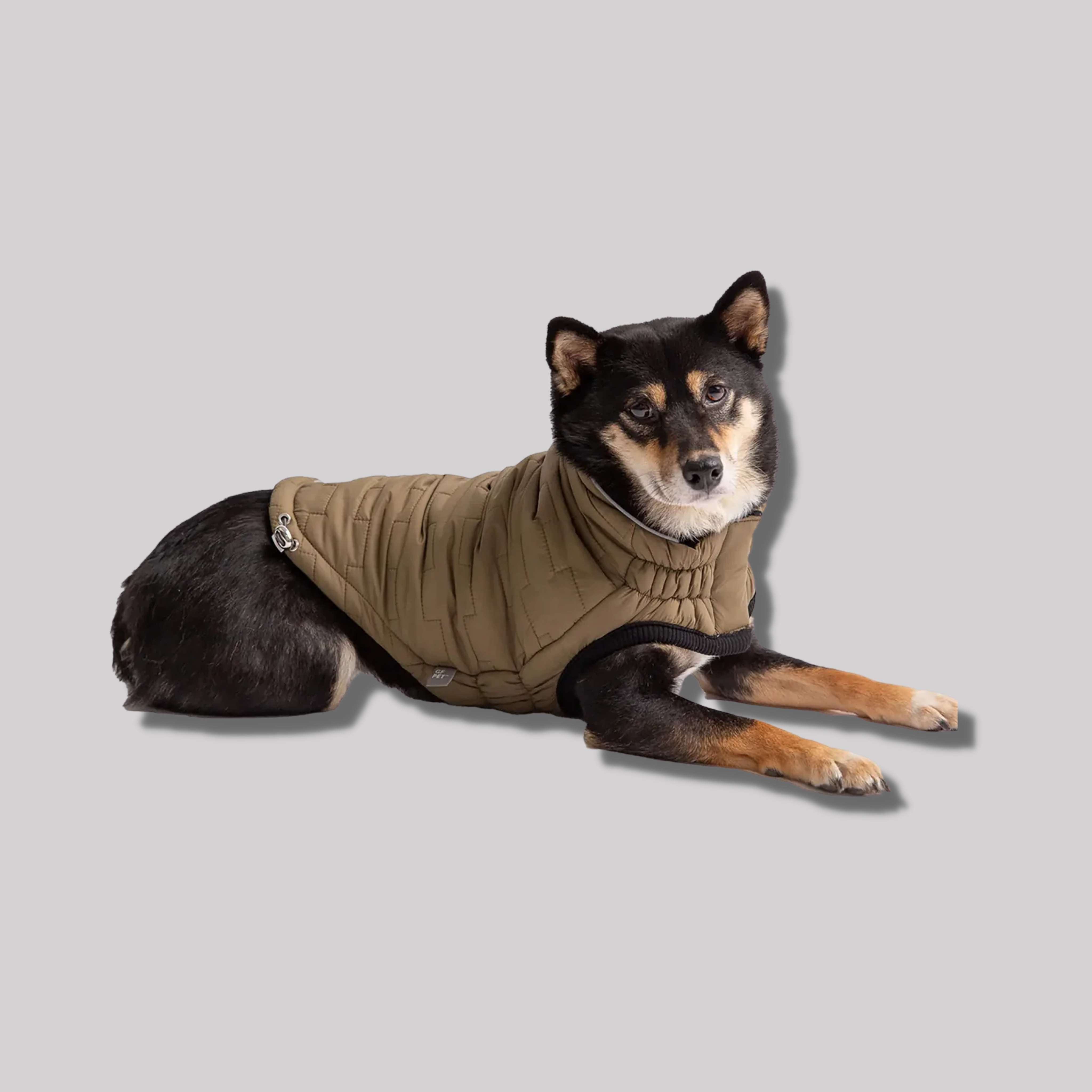 GF Pet Reversible Khaki Chalet Jacket