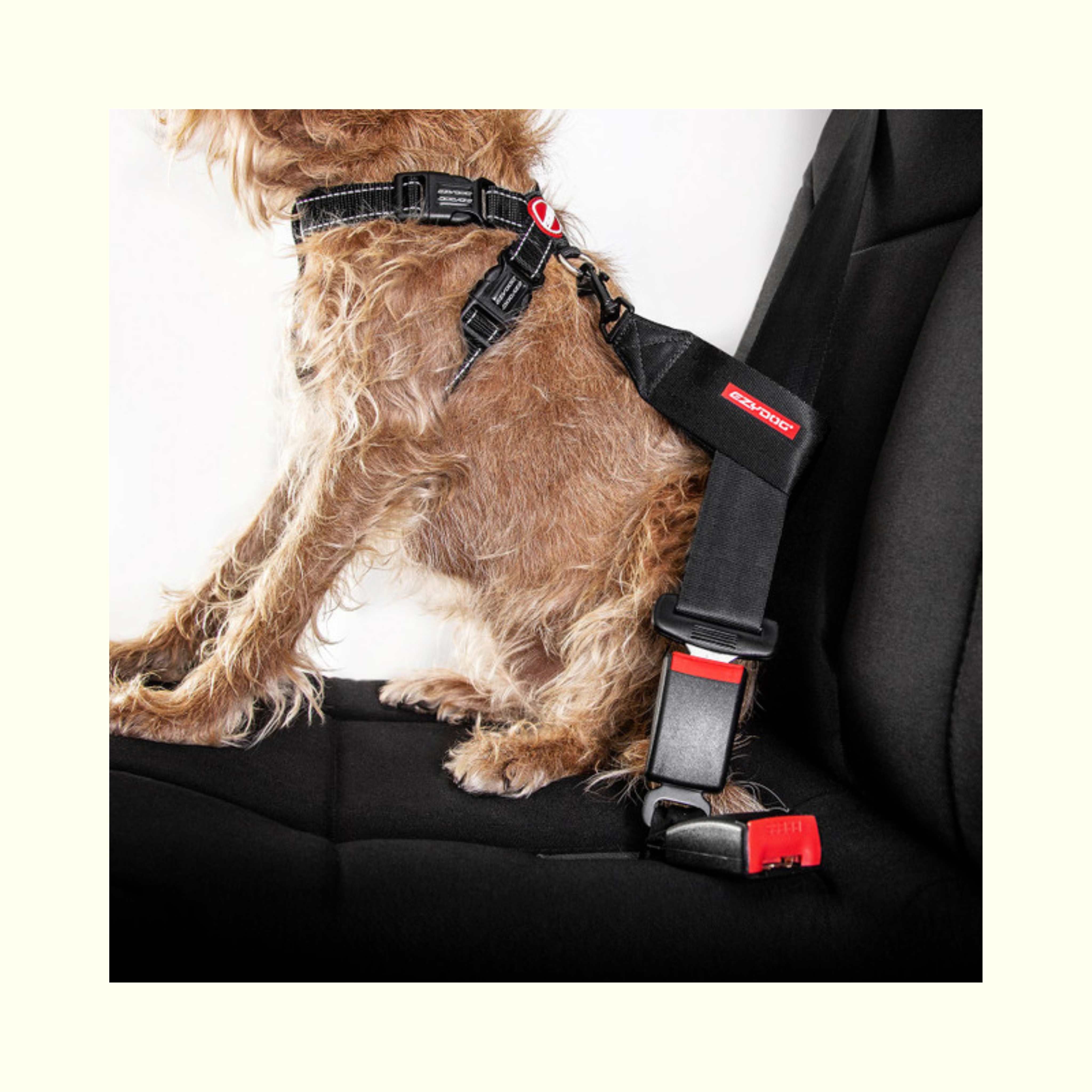 EZY Dog Seatbelt Restraint