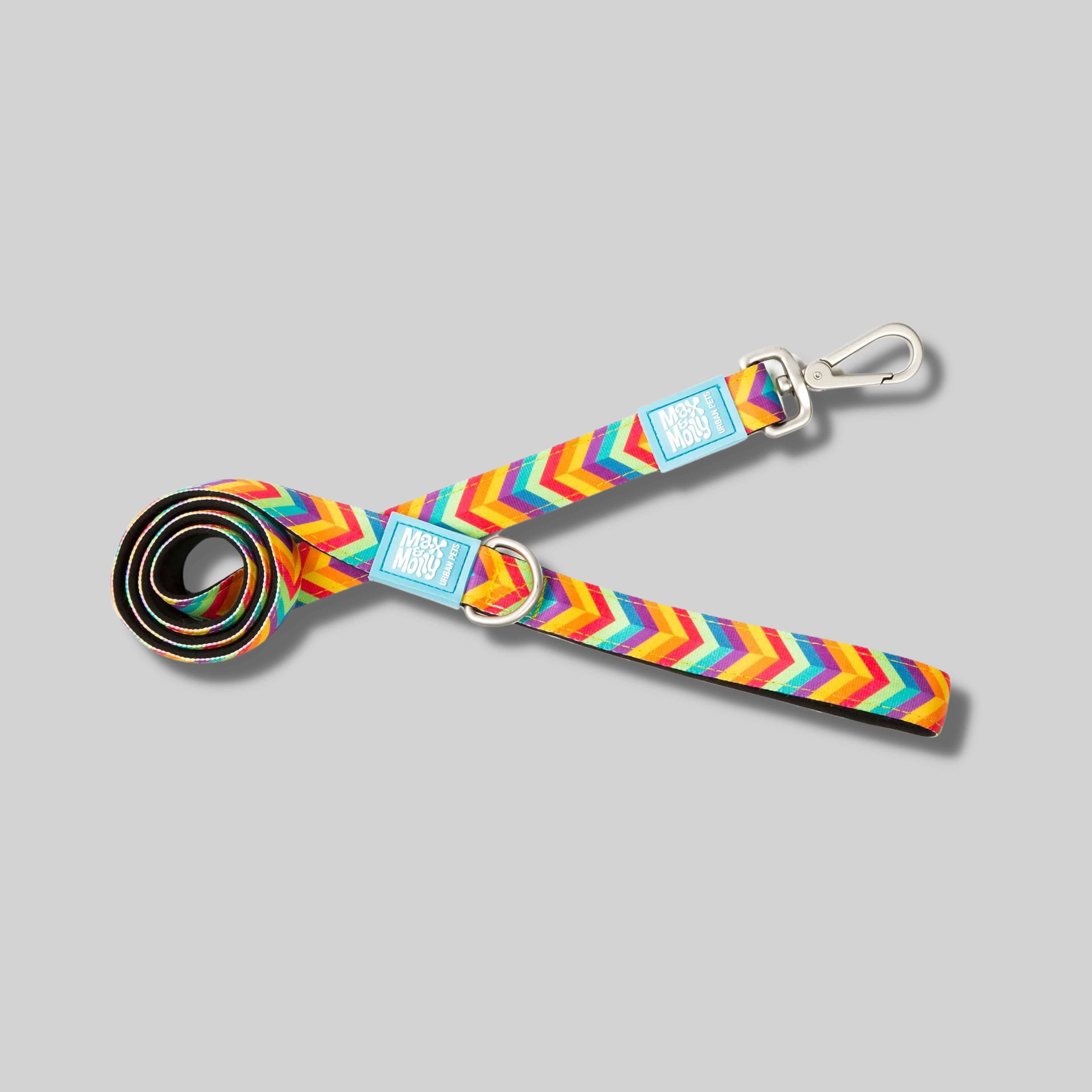 Max & Molly Summertime Leash