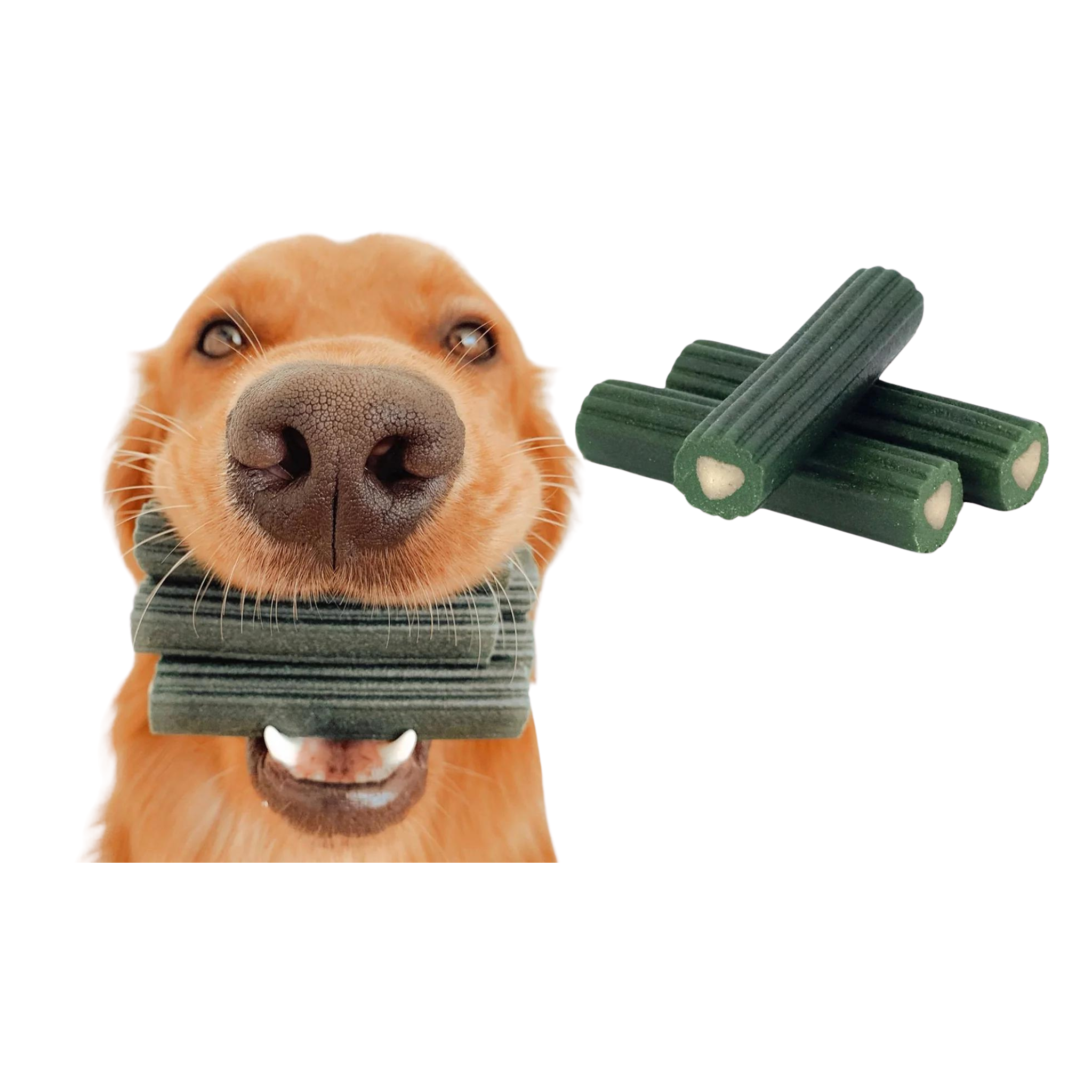 Ark Naturals BrushlessToothpaste Dental Chews