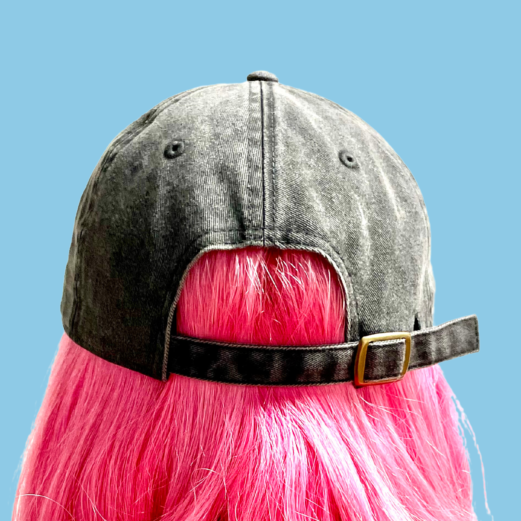 All Paws Baseball Hat