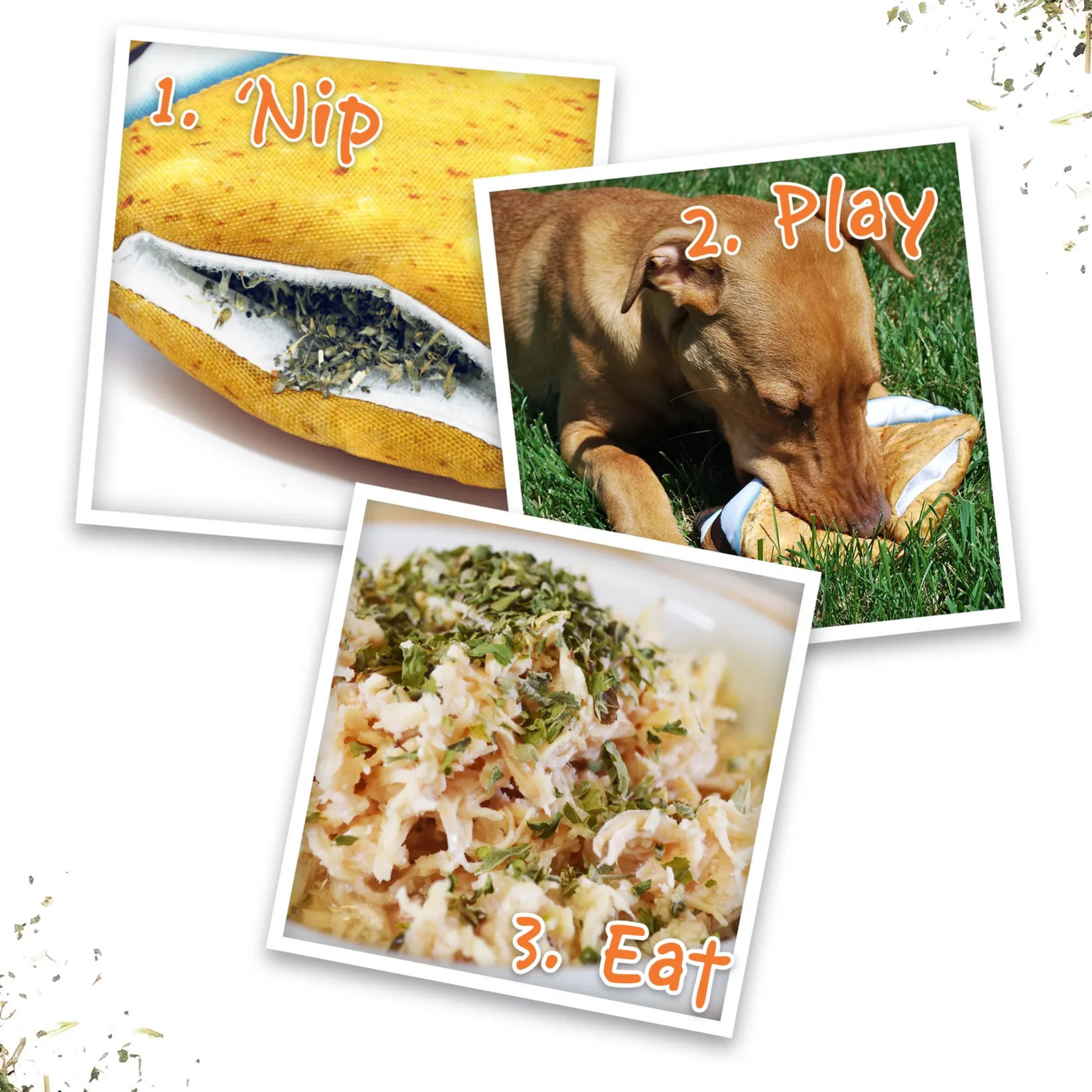 Doggijuana Tuffer Chewer Dill Pickle Refillable Dog Toy