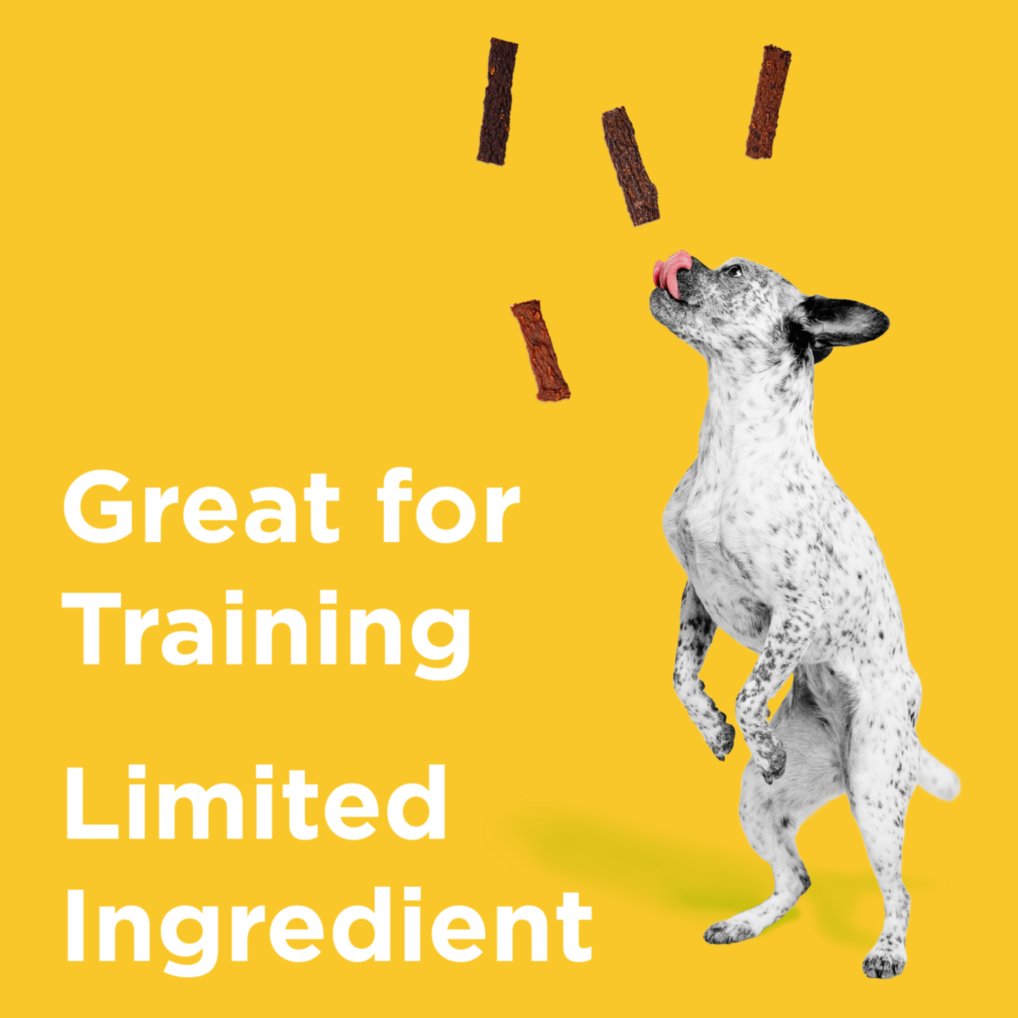 Bixbi Original Jerky Beef Lung Recipe Dog Treats