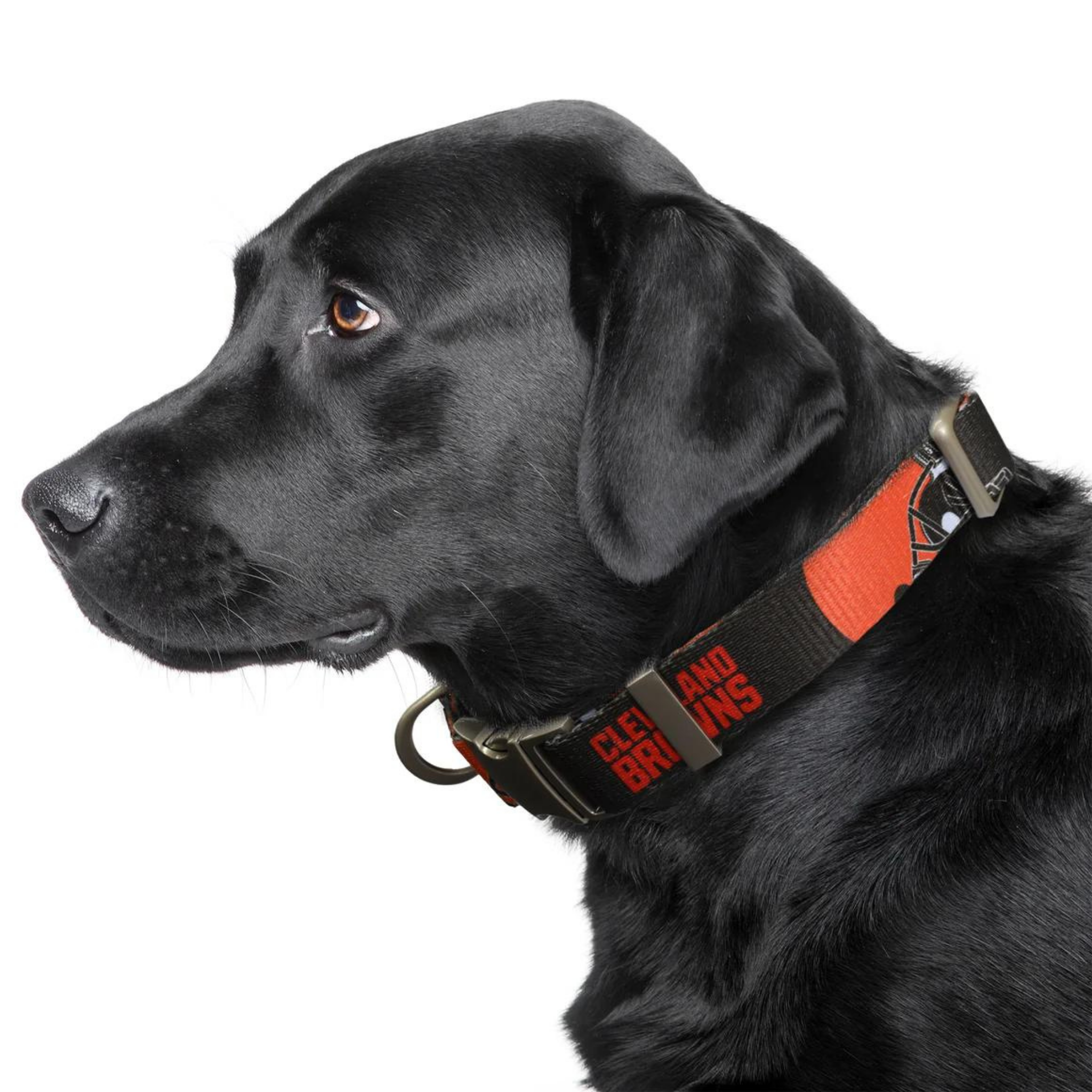 Little Earth Cleveland Browns Dog Collar
