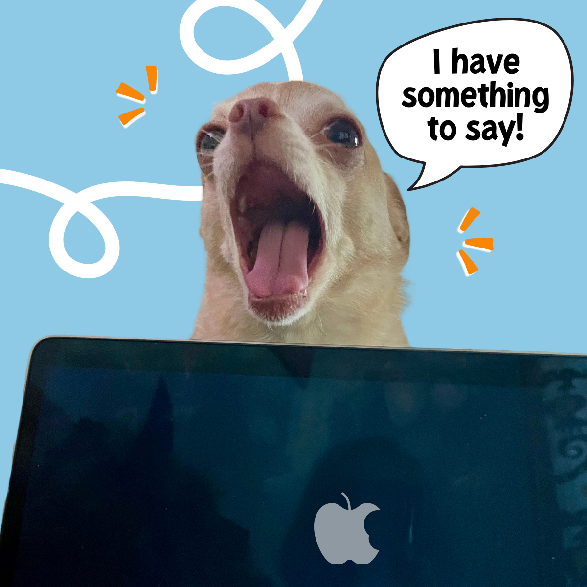 Contact Banner Image