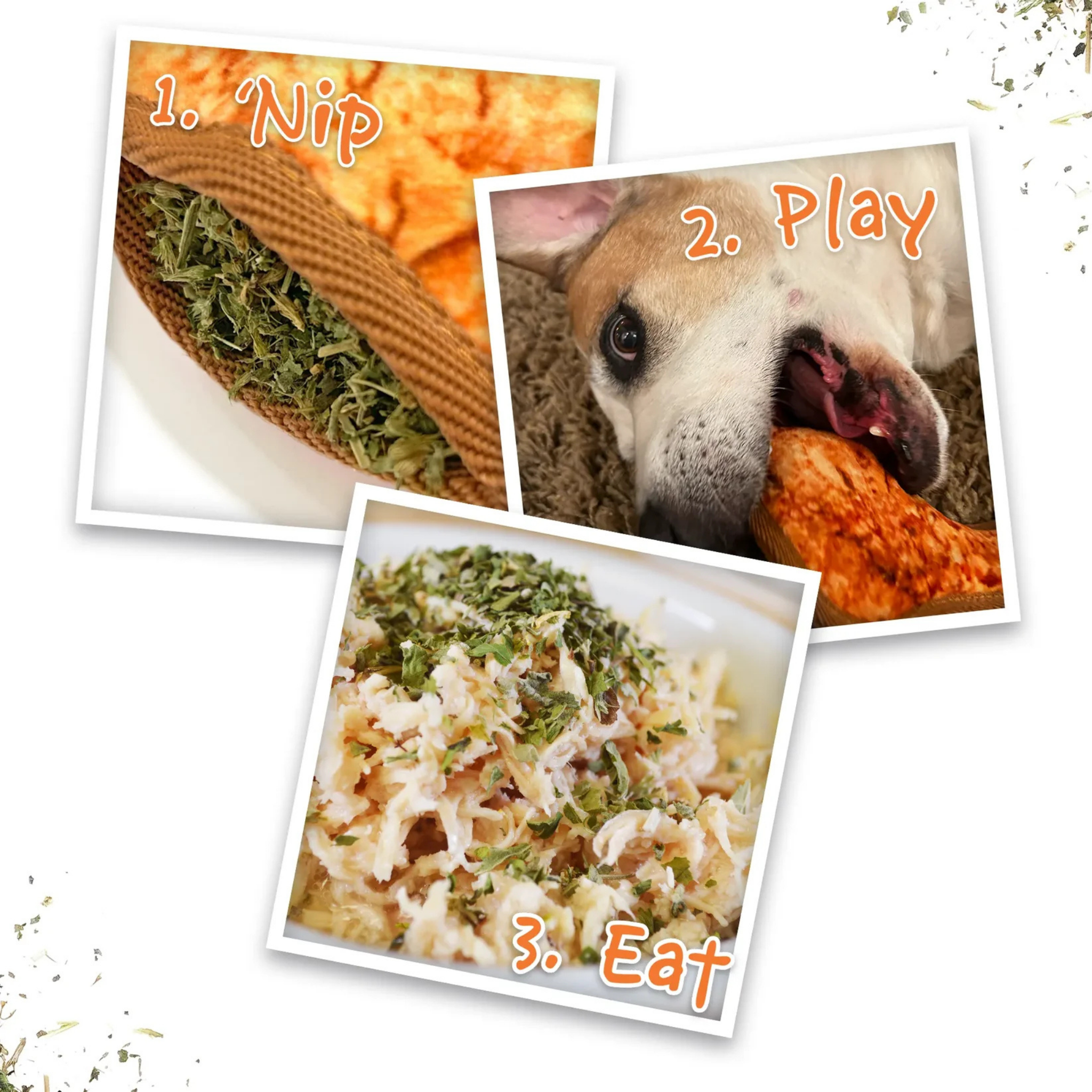 Doggijuana Tuffer Chewer Tomahawk Steak Refillable Dog Toy