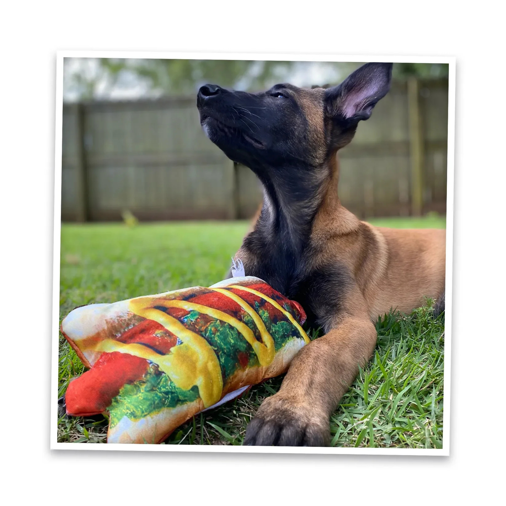 Doggijuana Get the Munchies Hot Dog Refillable Dog Toy