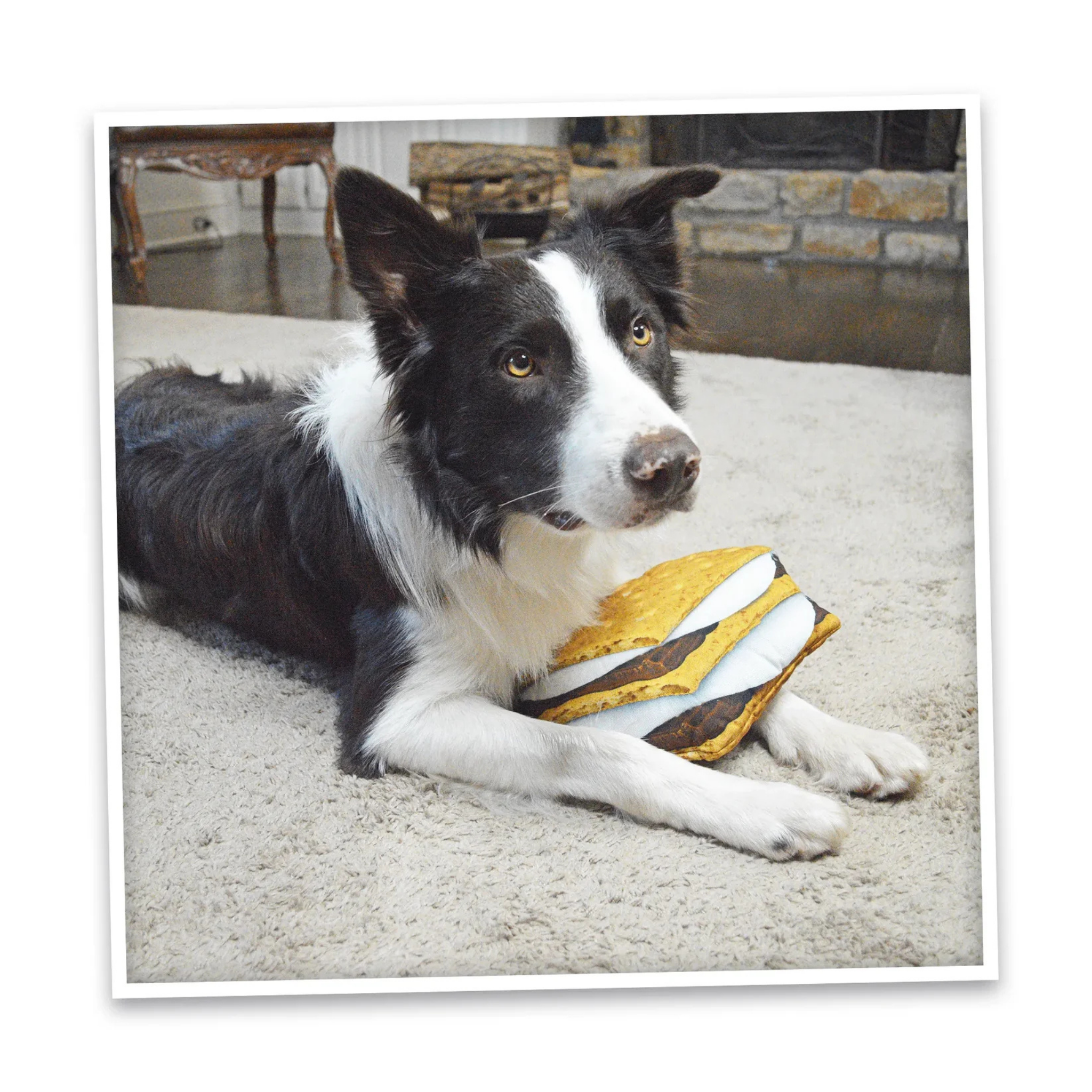 Doggijuana Get Outside S'more Refillable Dog Toy