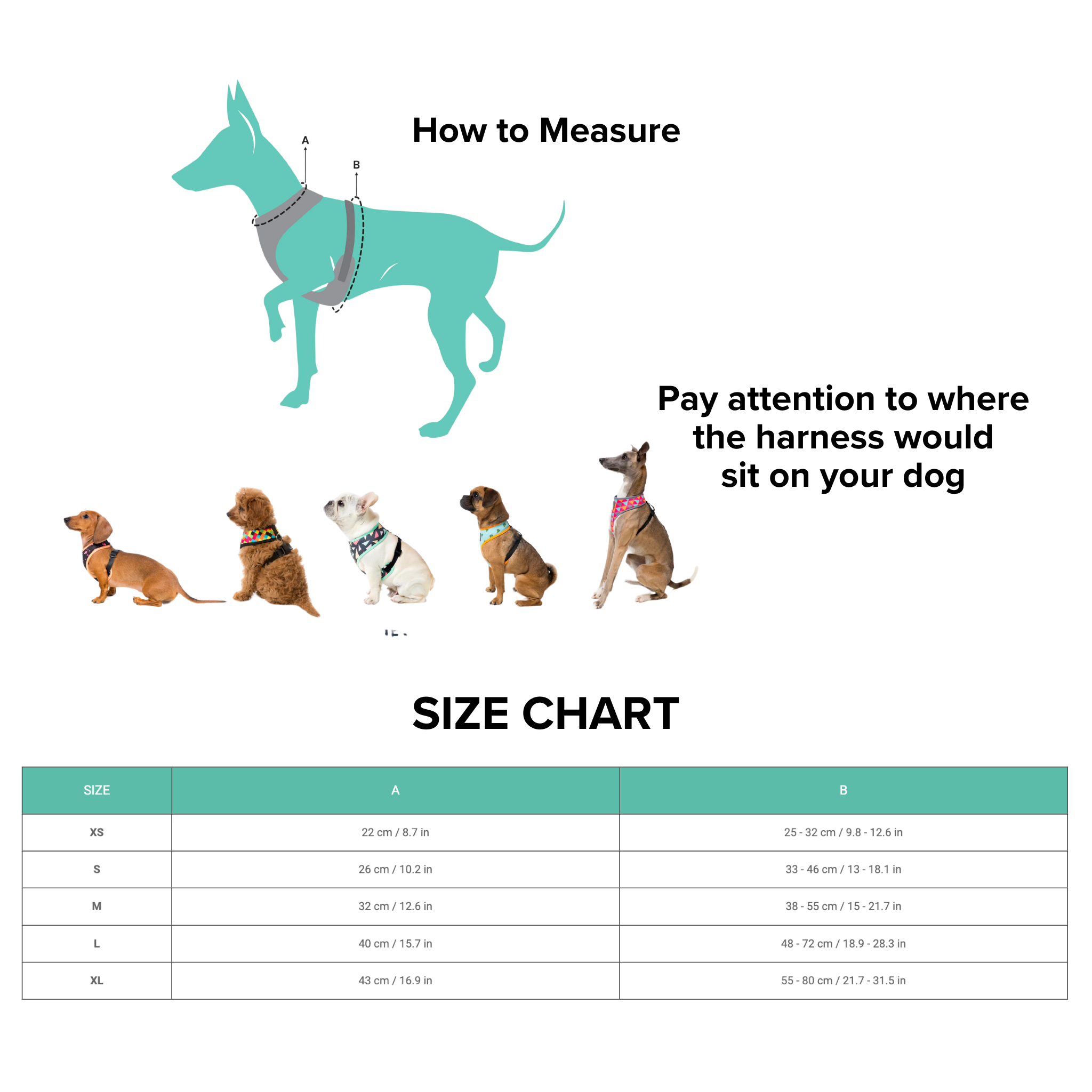 Fuzzyard Dinosaur Land Step In Dog Harness