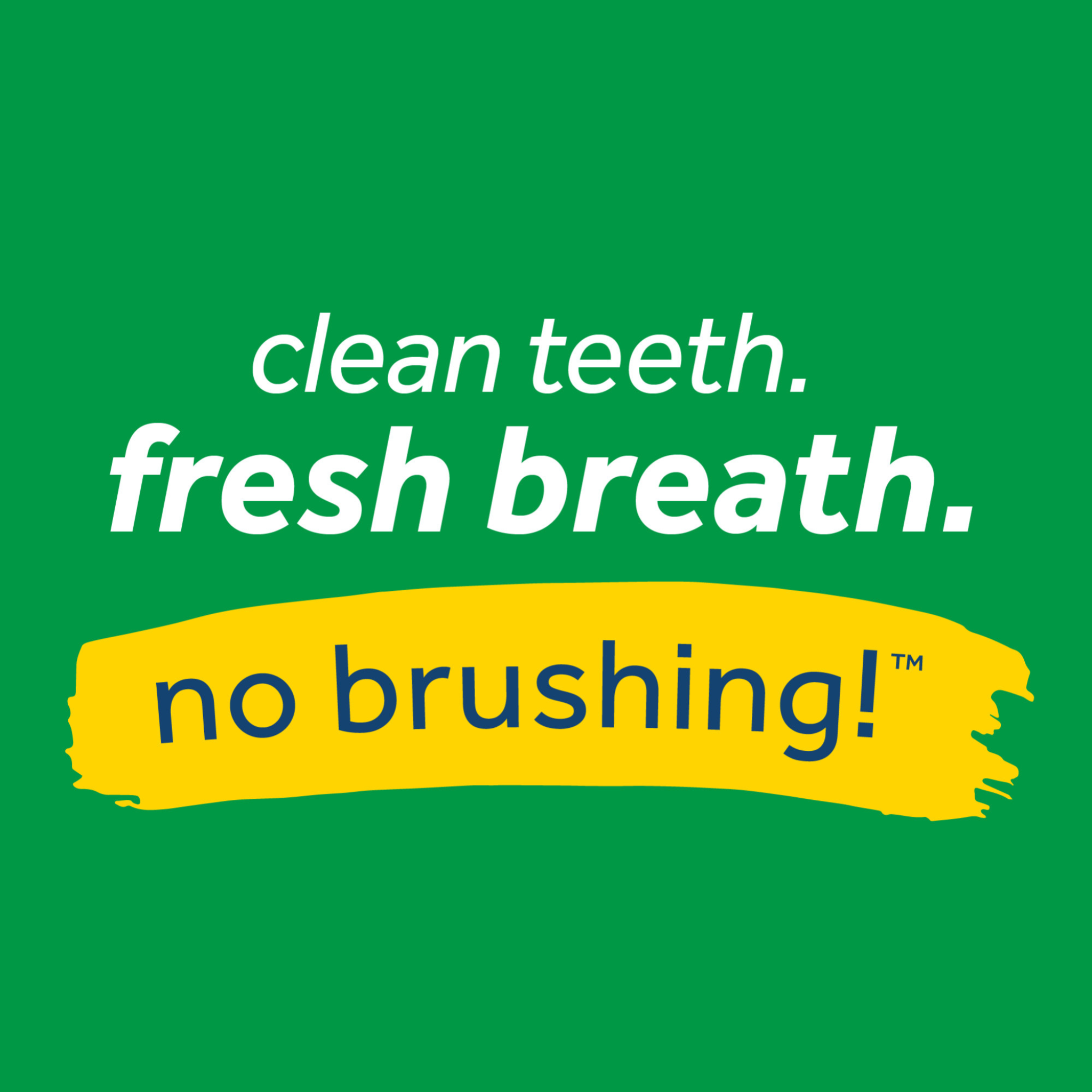TropiClean Fresh Breath Oral Care Foam for Dogs