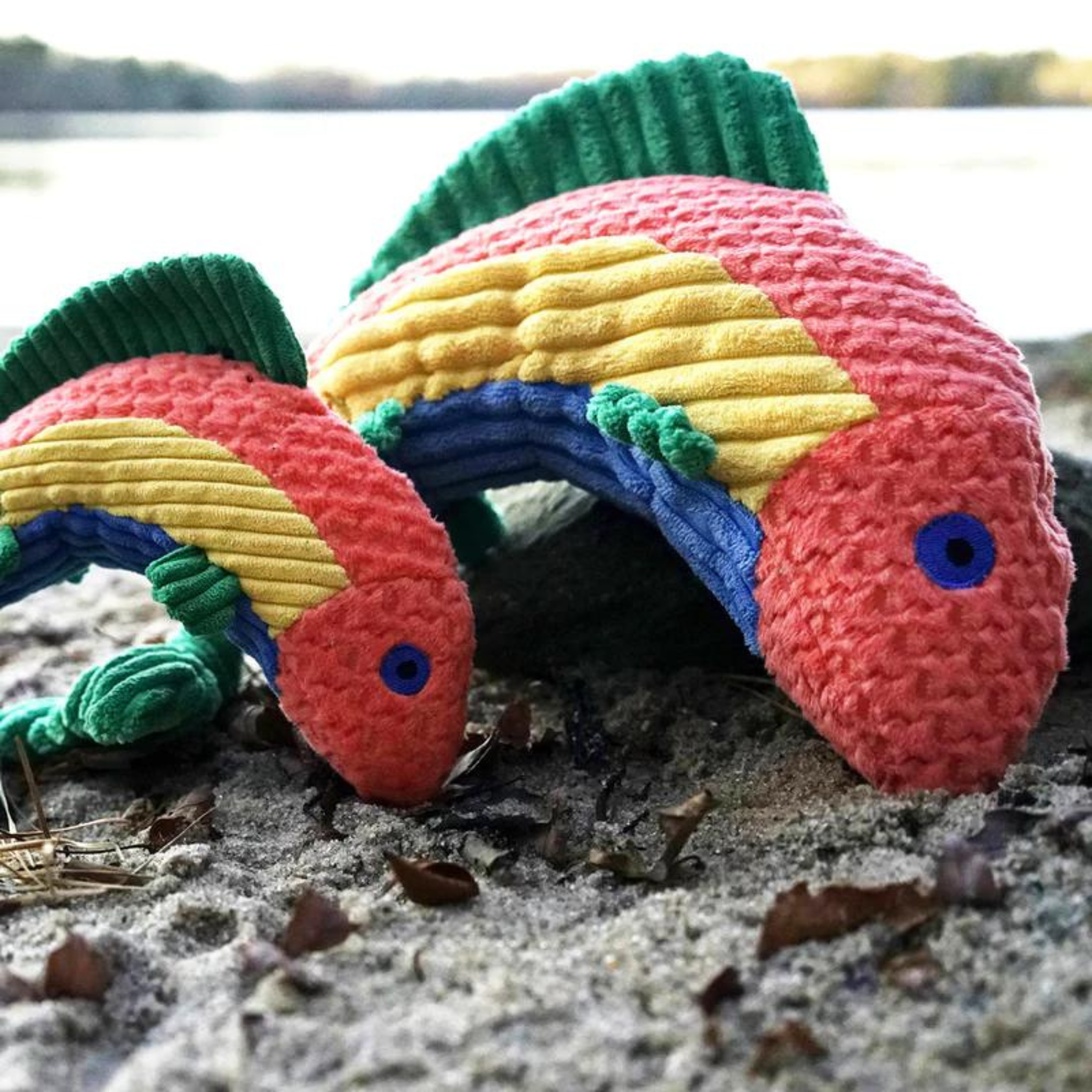 Huggle Hounds Rauccous Rainbow Trout Knottie Dog Toy