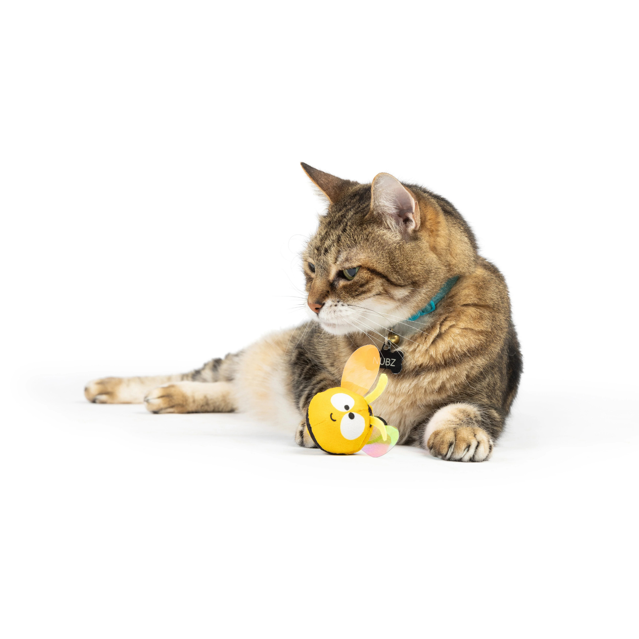 Huxley & Kent Bumble Bee Flinger Cat Toy