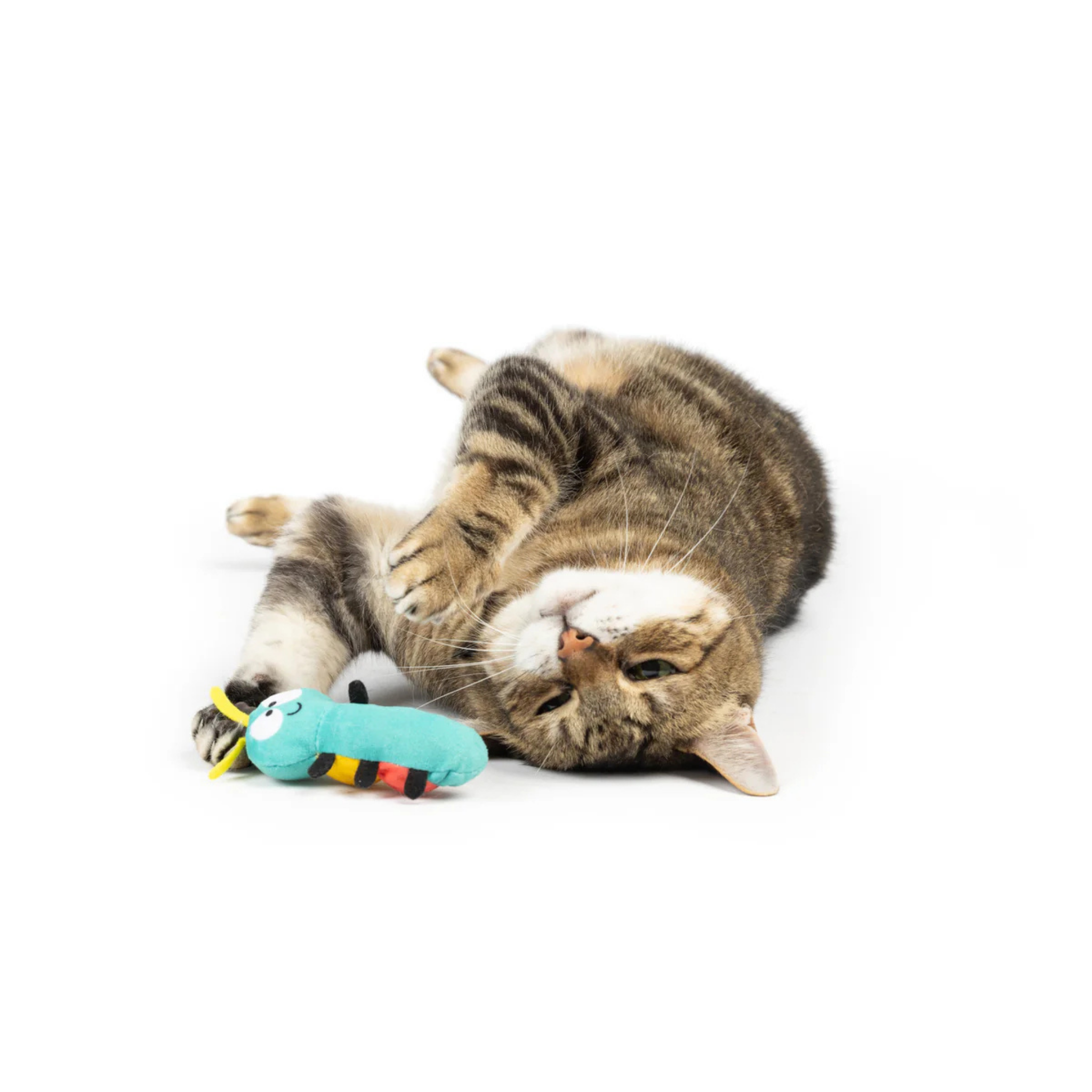 Huxley & Kent  Caterpillar Cat Toy
