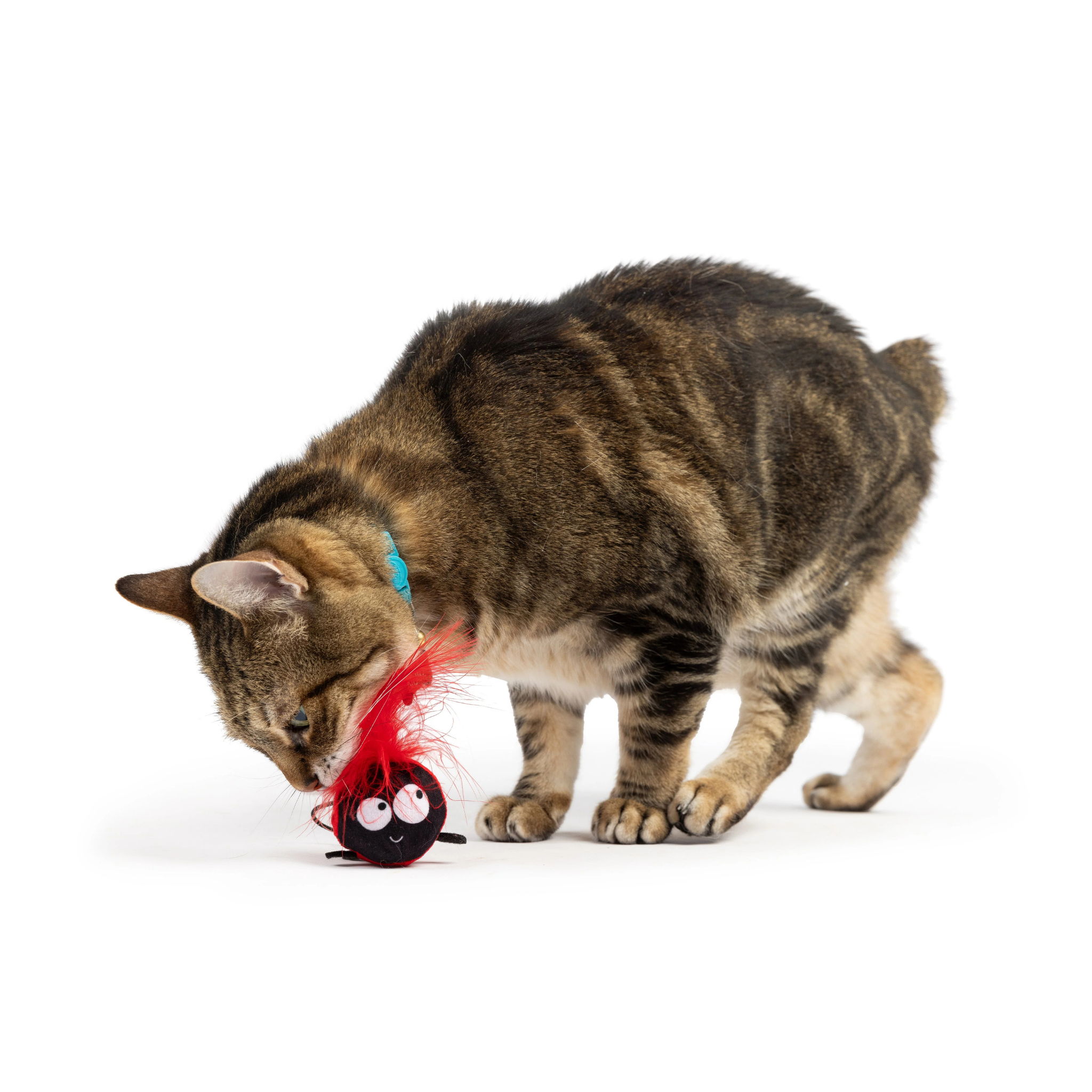 Huxley & Kent Ladybug Flinger Cat Toy