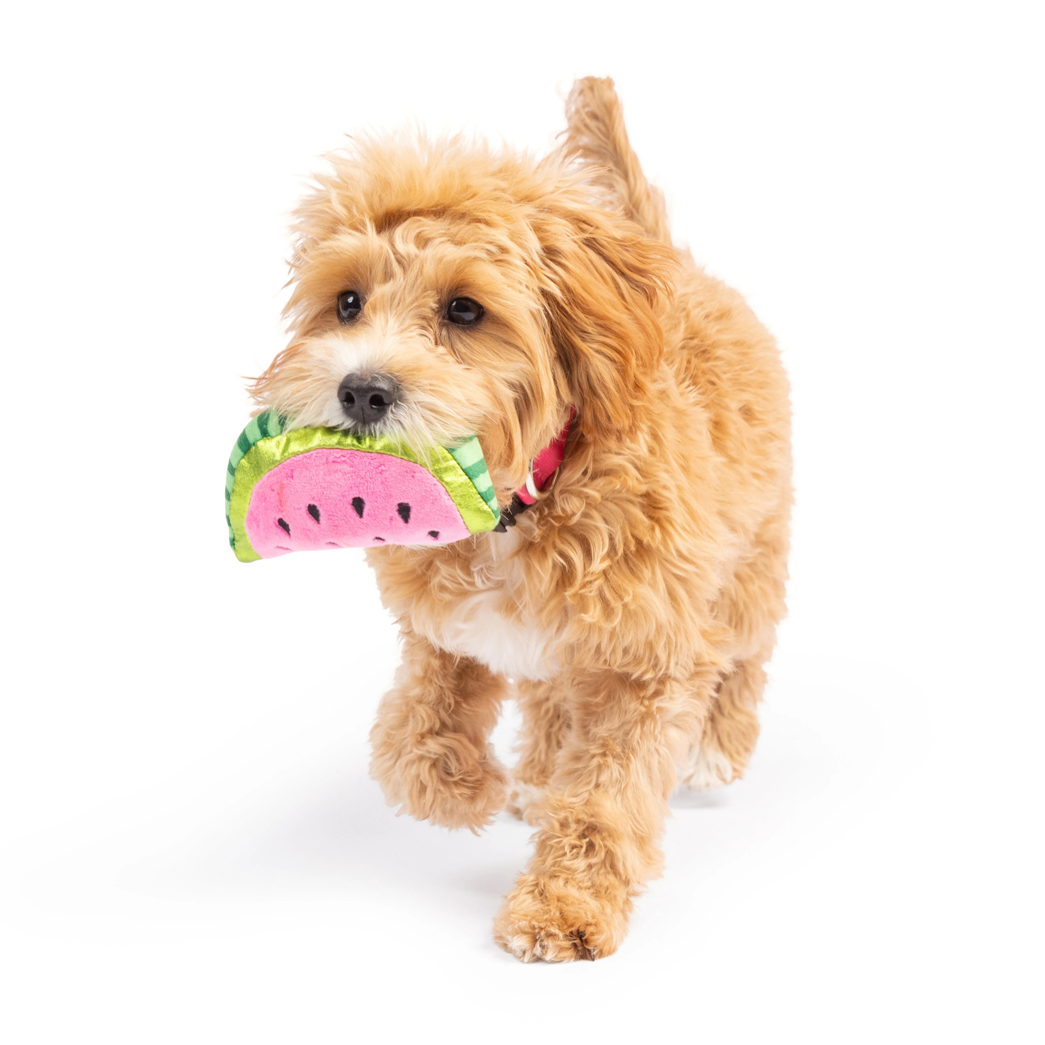 Huxley & Kent Watermelon Tiny Tough Plush Dog Toy