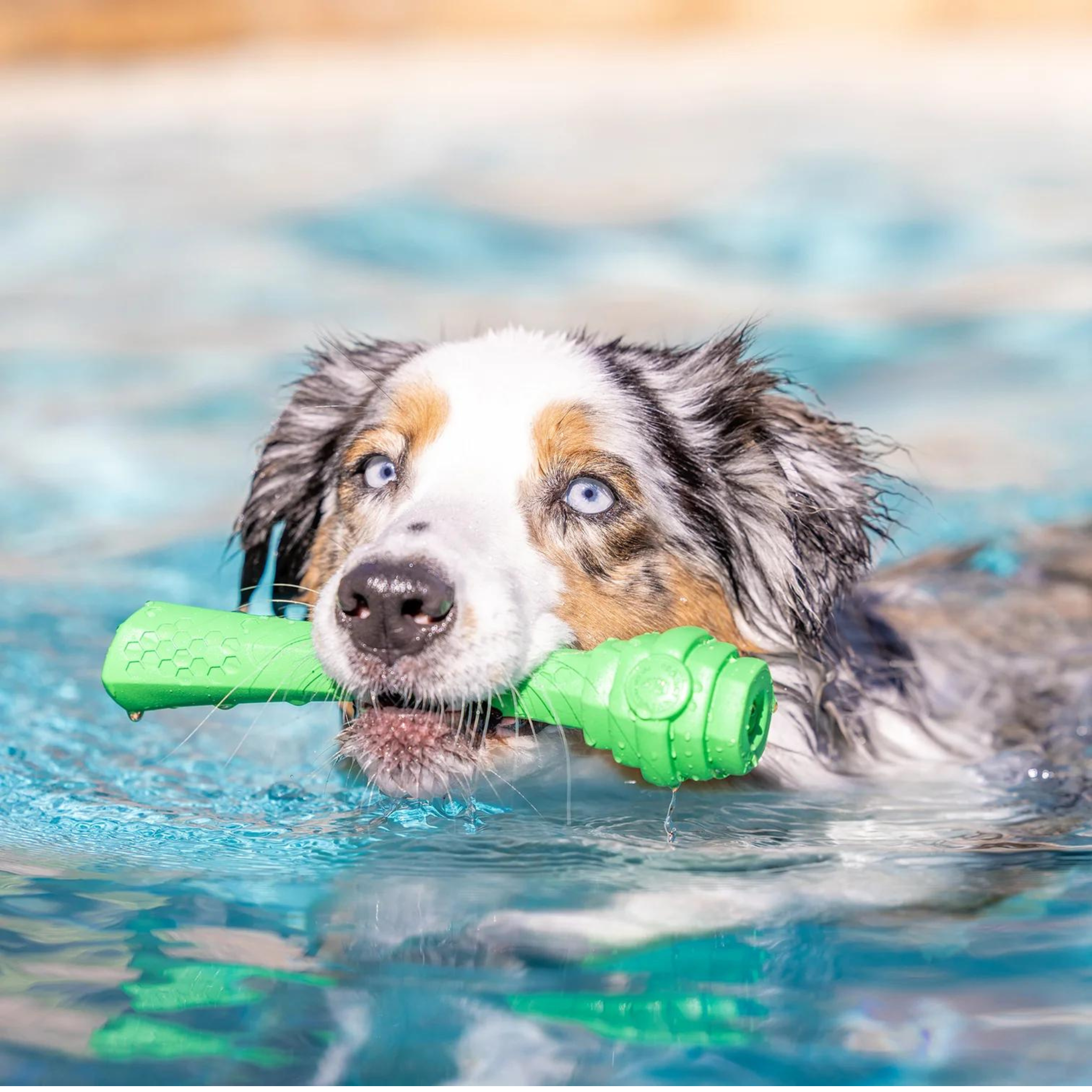 Project Hive Coconut Scented Fetch Stick Dog Toy