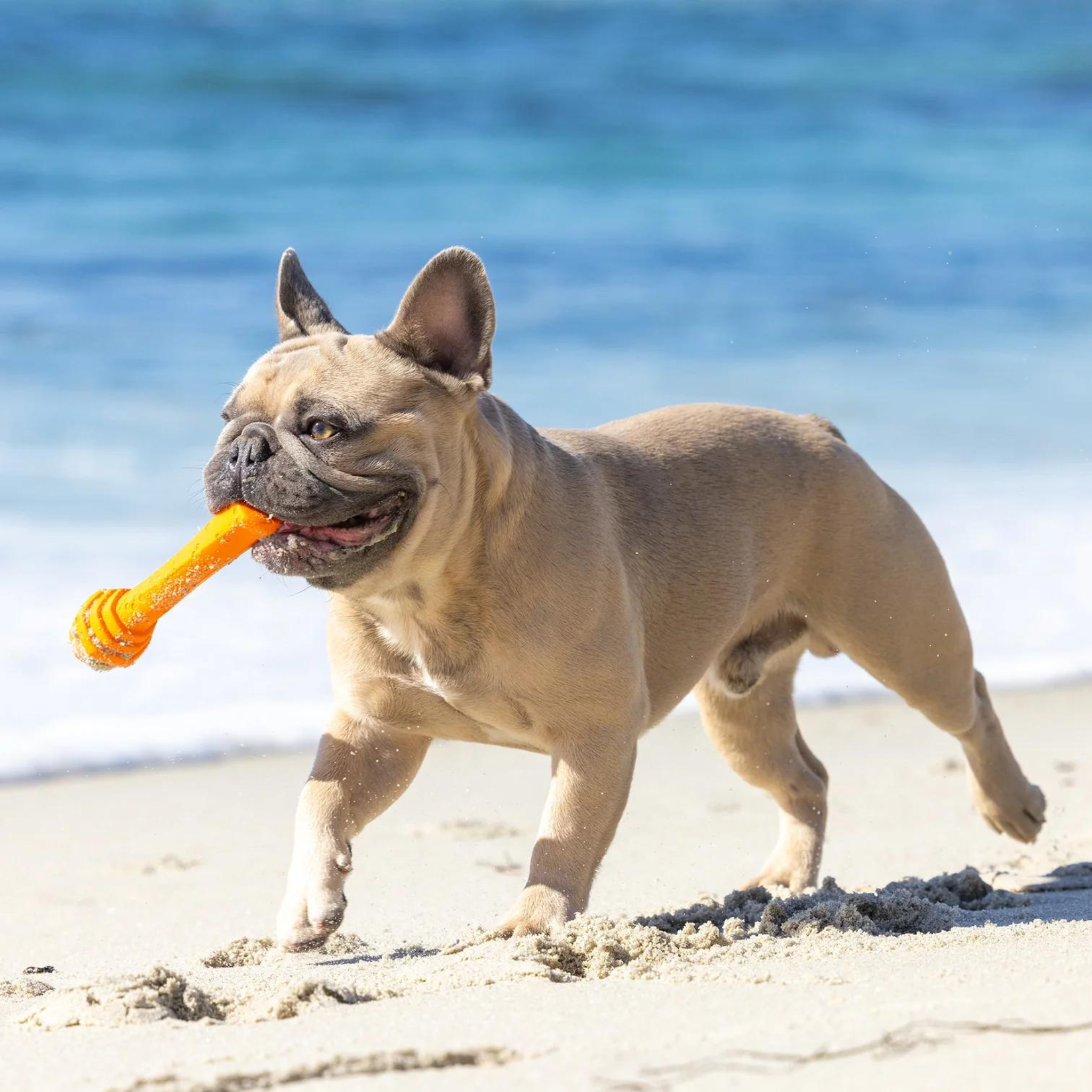 Project Hive Mango Scented Fetch Stick Dog Toy