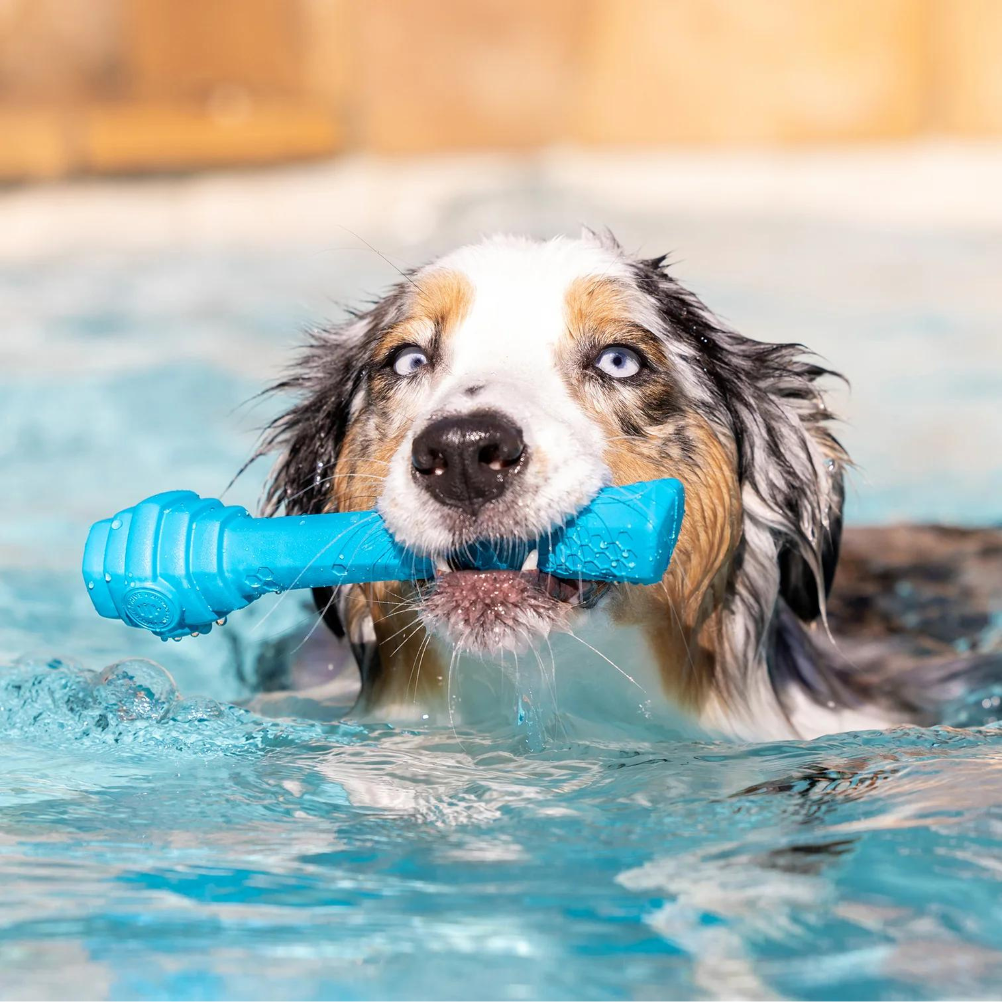 Project Hive Vanilla Scented Fetch Stick Dog Toy