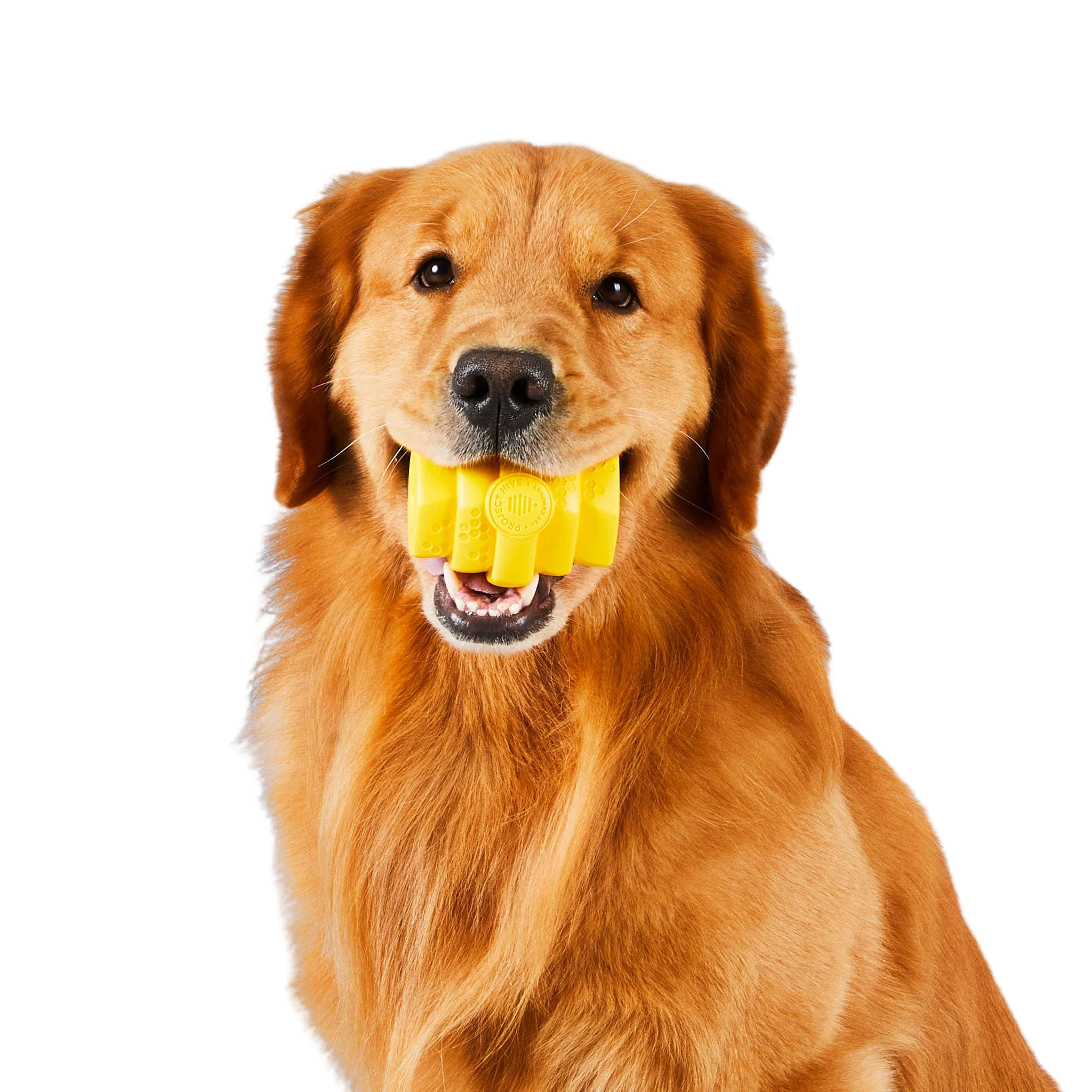 Project Hive Original Chew Dog Toy