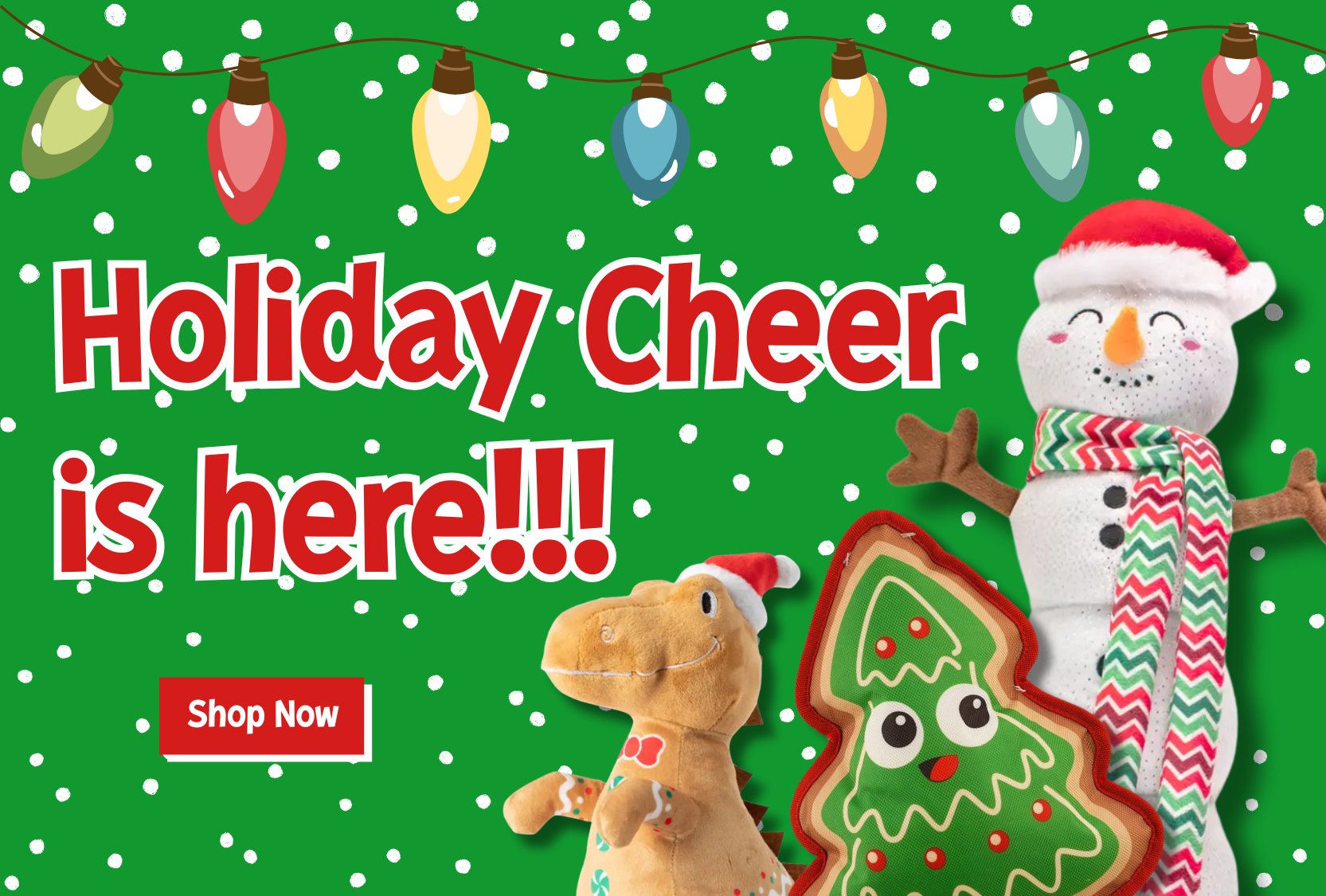 Desktop Slider Image