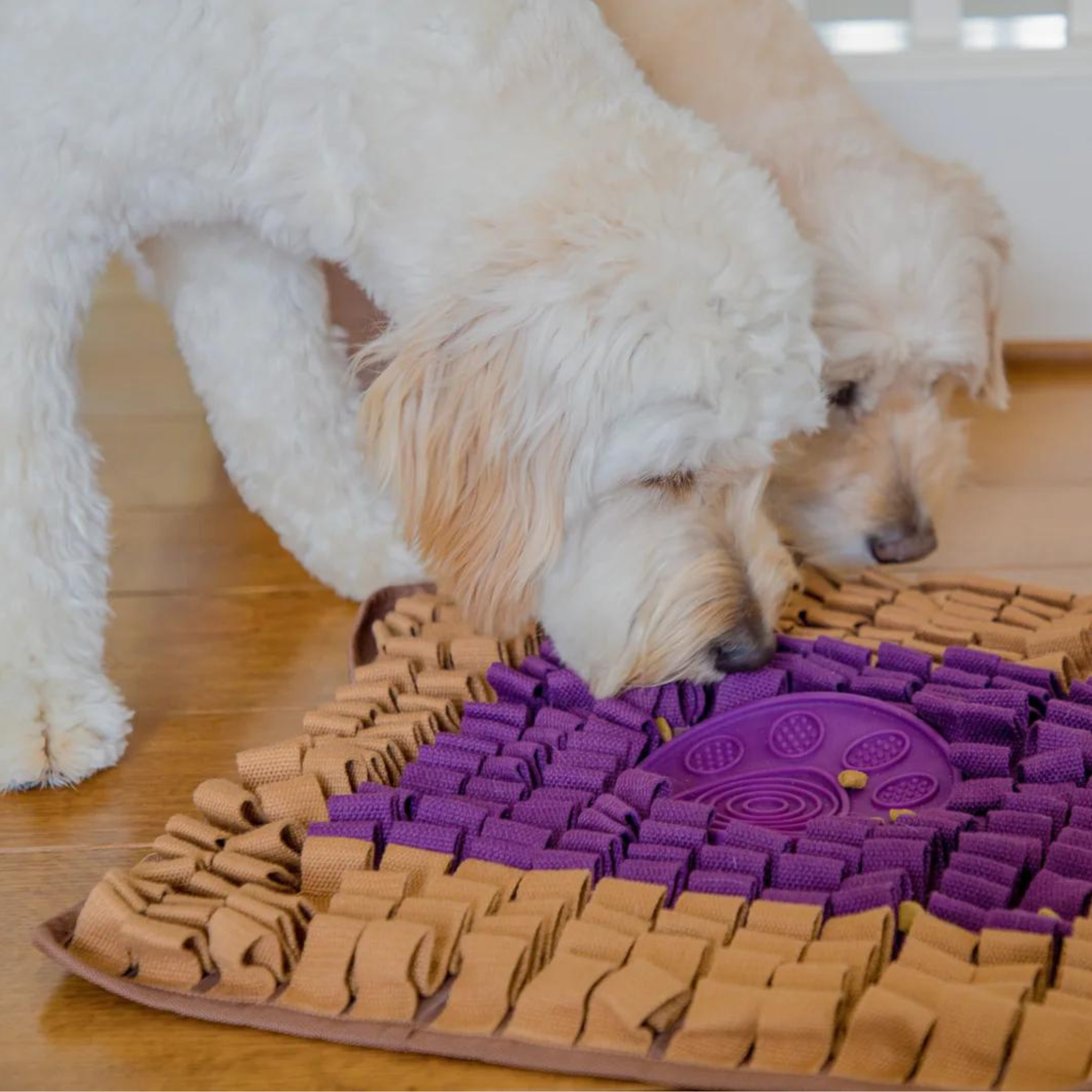 Injoya PB & J Snuffle Mat