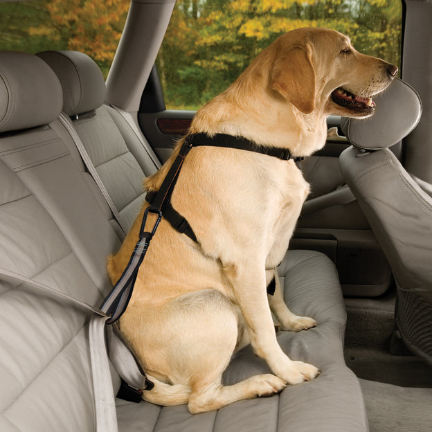 Kurgo Dog Seat Belt Loop