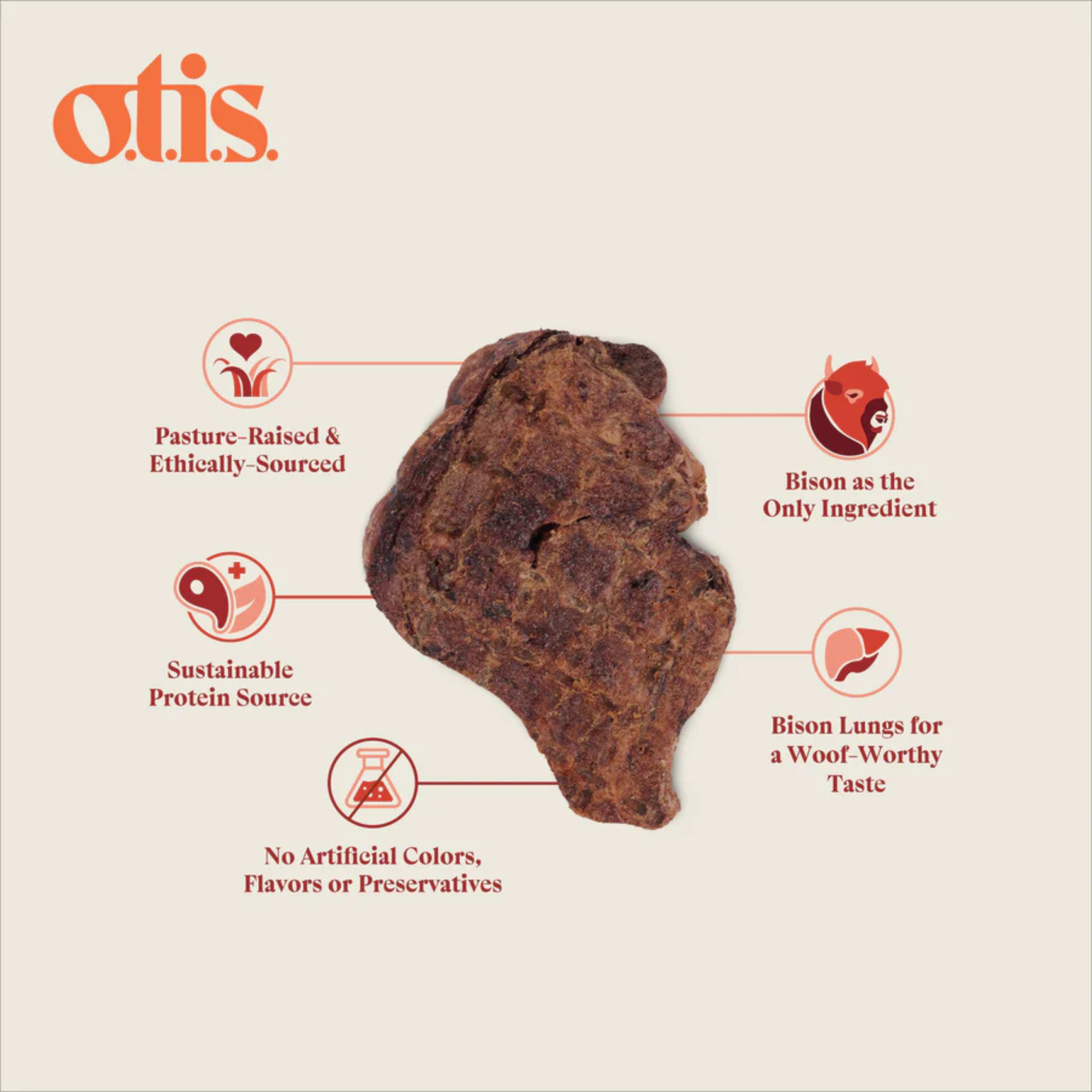Otis Wild Things Bison Lung Filet Dog Treats