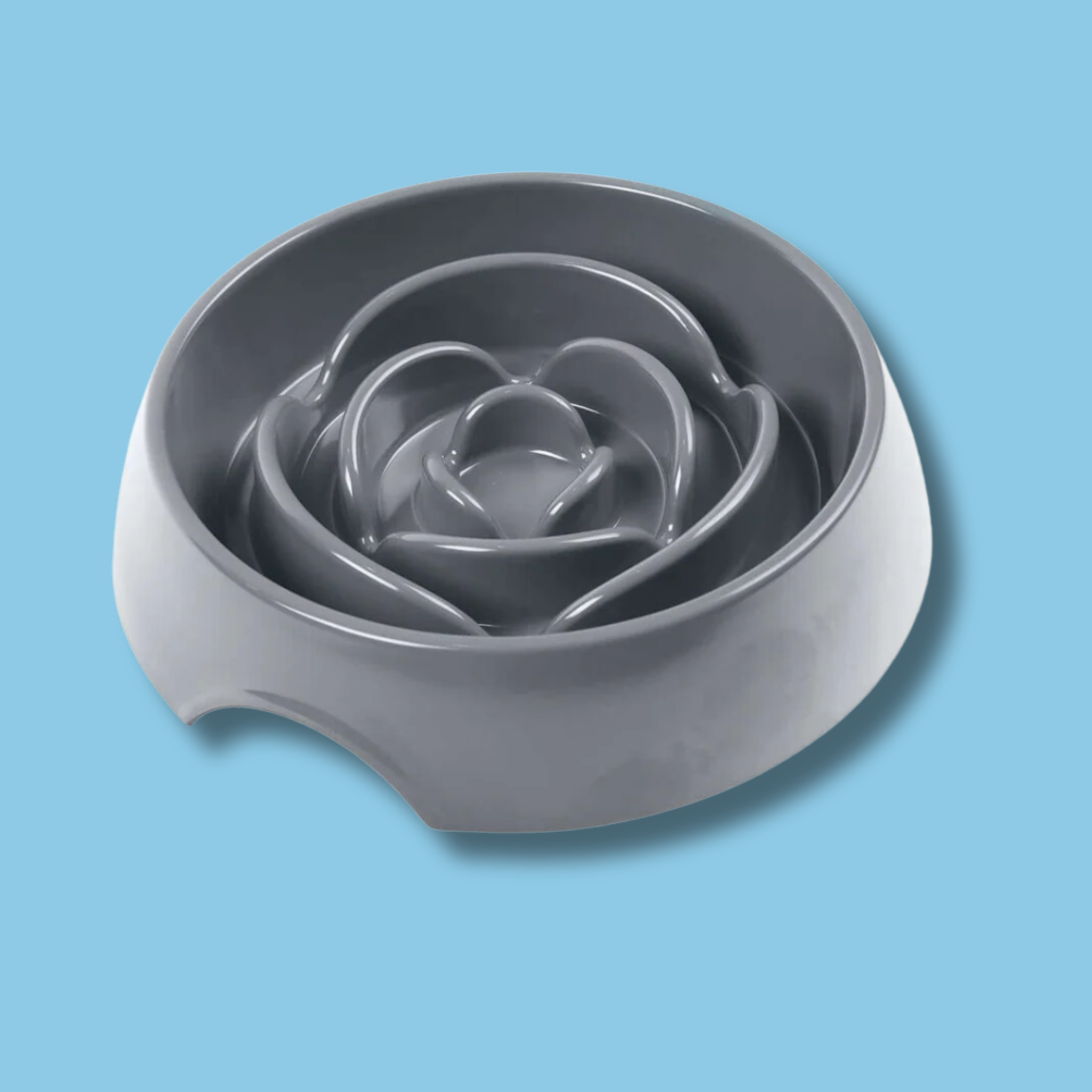 Messy Mutts Slow Feeder Dog Bowl