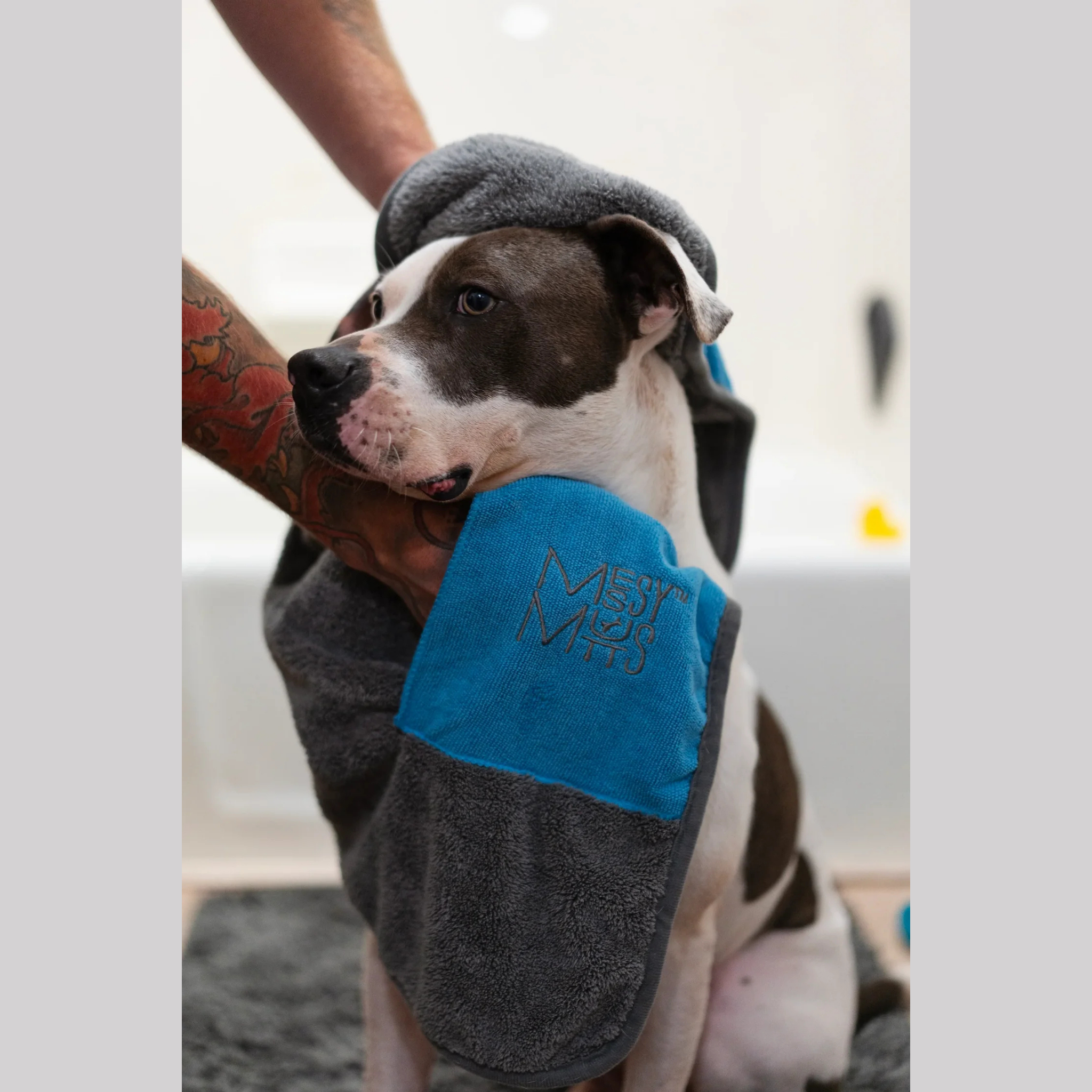 Messy Mutts Microfiber Ultra Soft Dog Towel