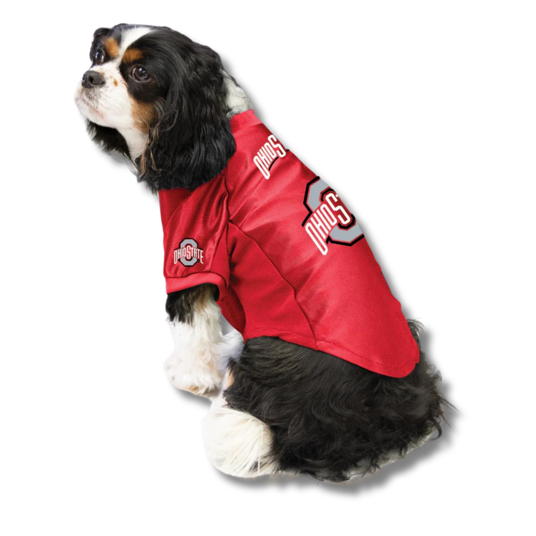 Little Earth Ohio State Pet Stretch Jersey