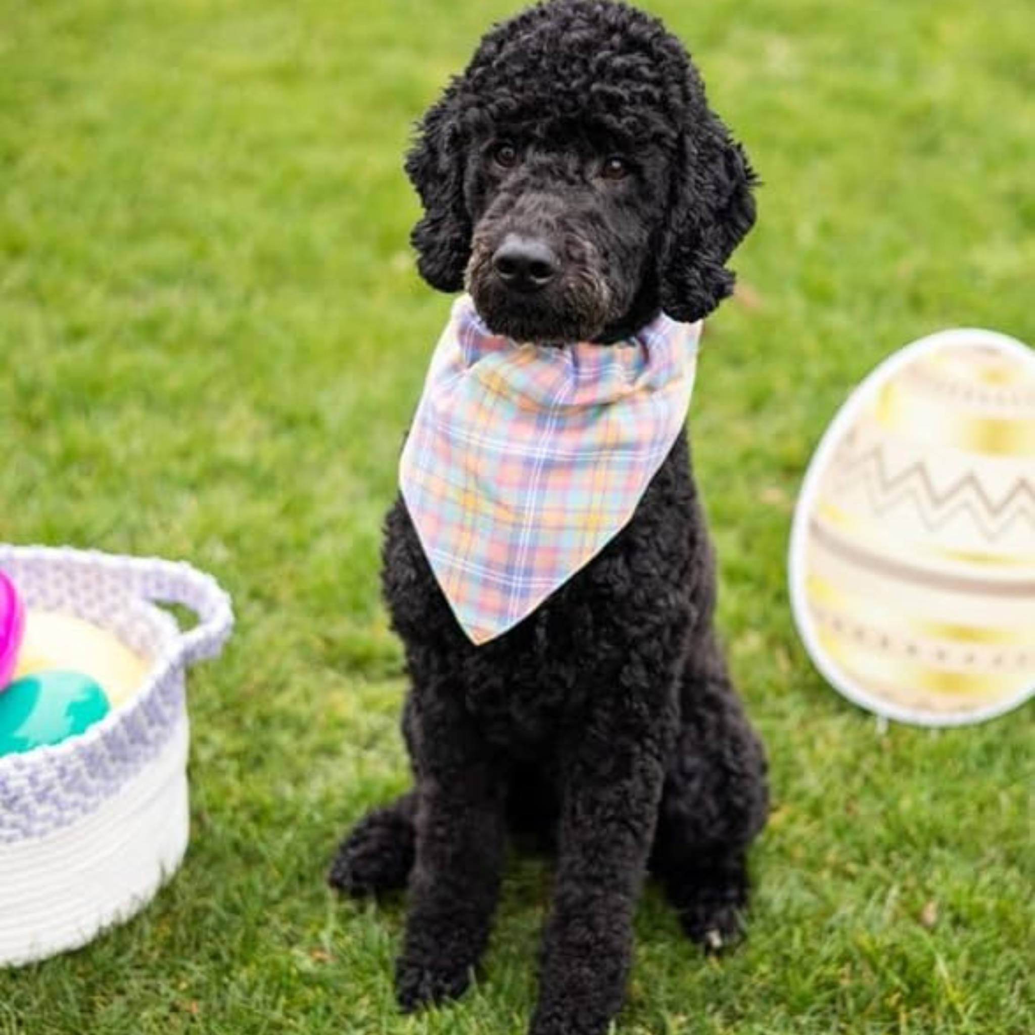 Pearhead Spring Plaid Bandana