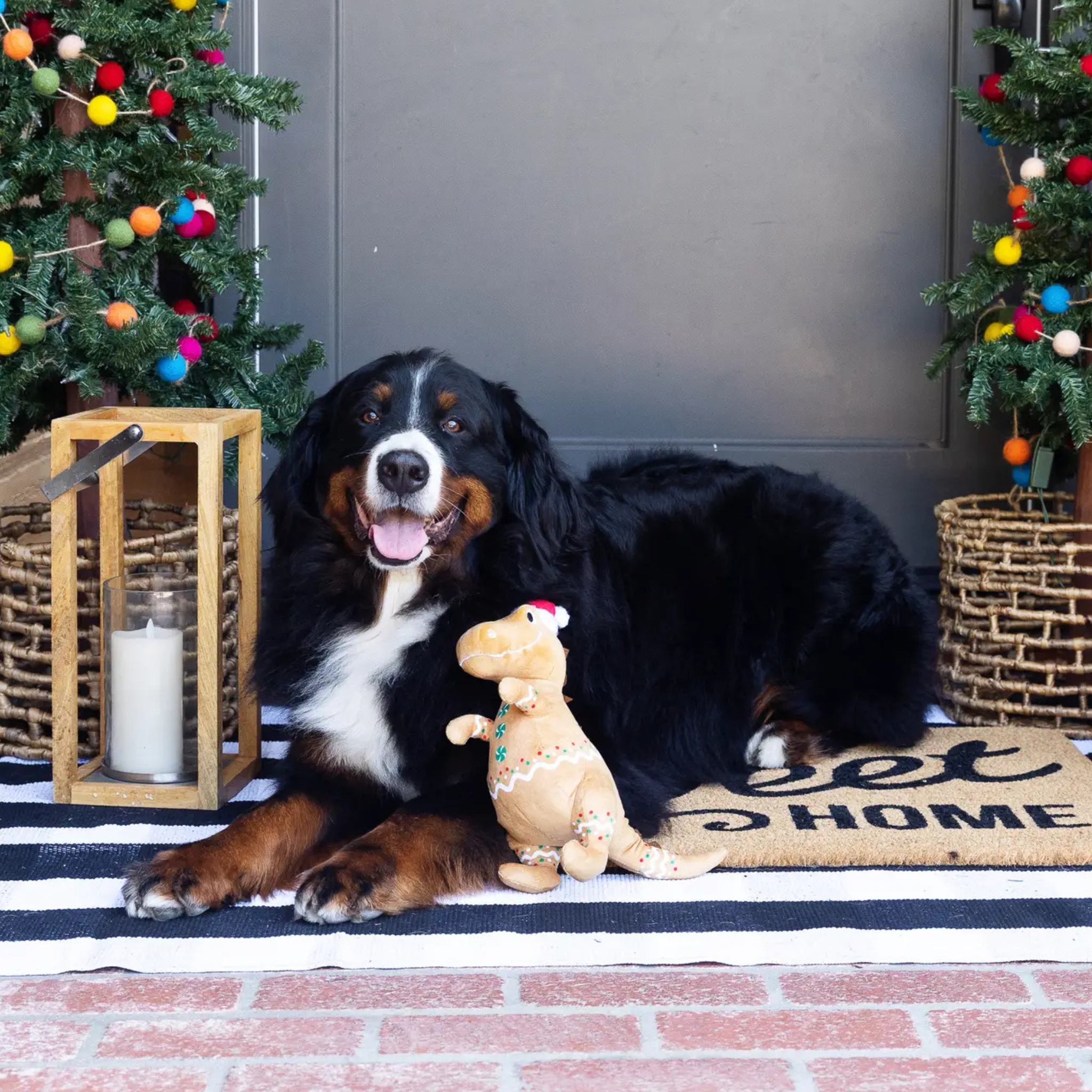 PetShop by Fringe Studio Cookie-Saurus Plush Dog Toy