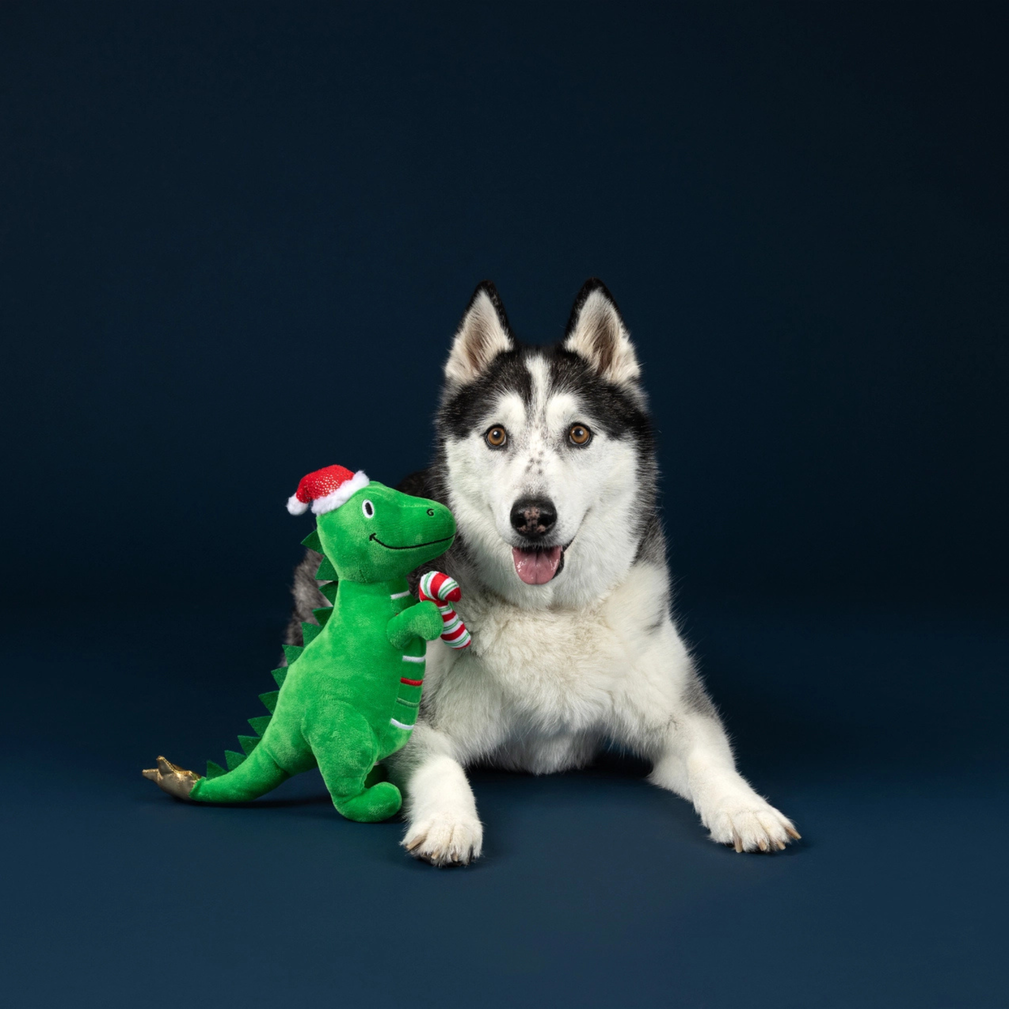 PetShop by Fringe Studio Rexmas Is Here Plush Dog Toy