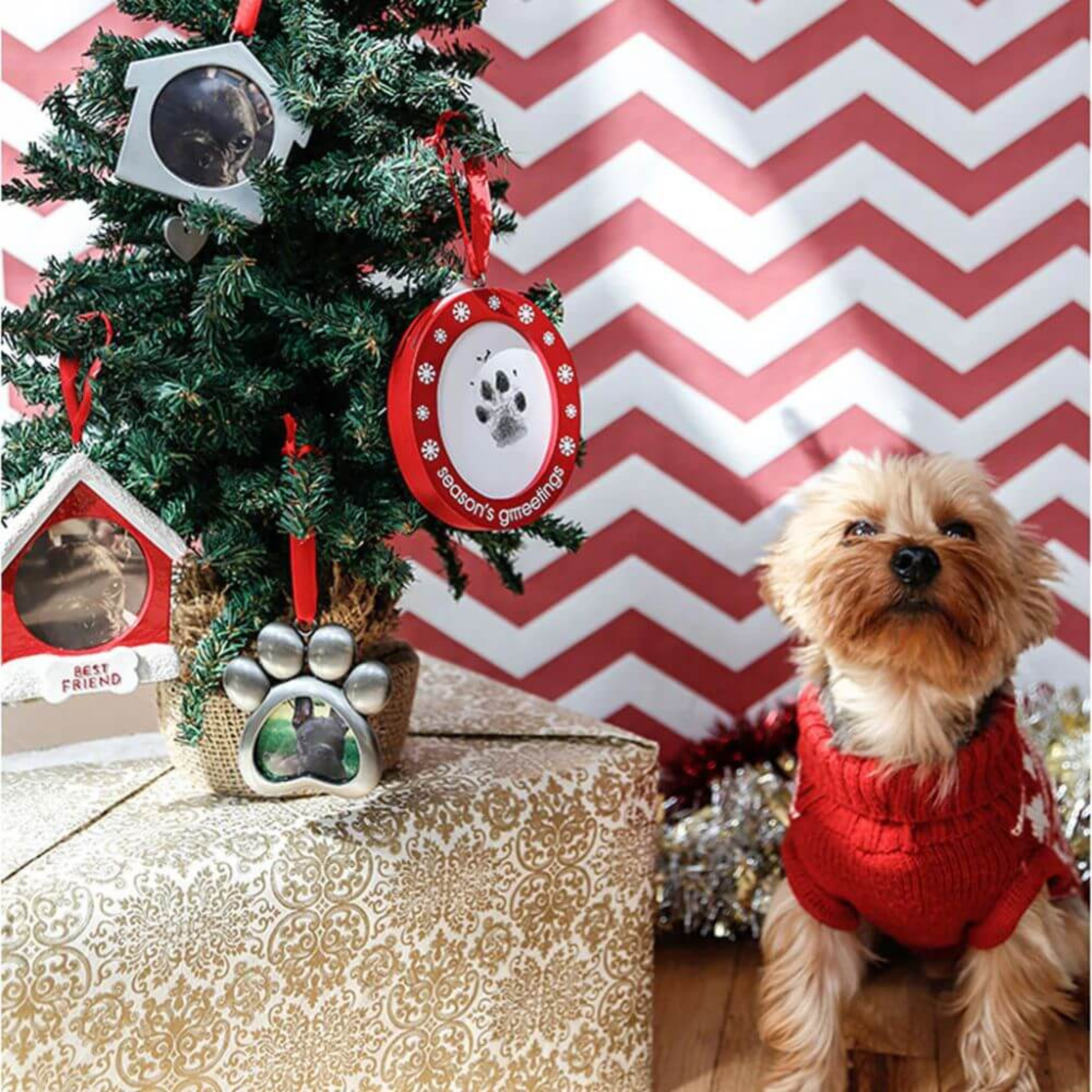 Pearhead Double Sided Holiday Photo/Ink Ornament