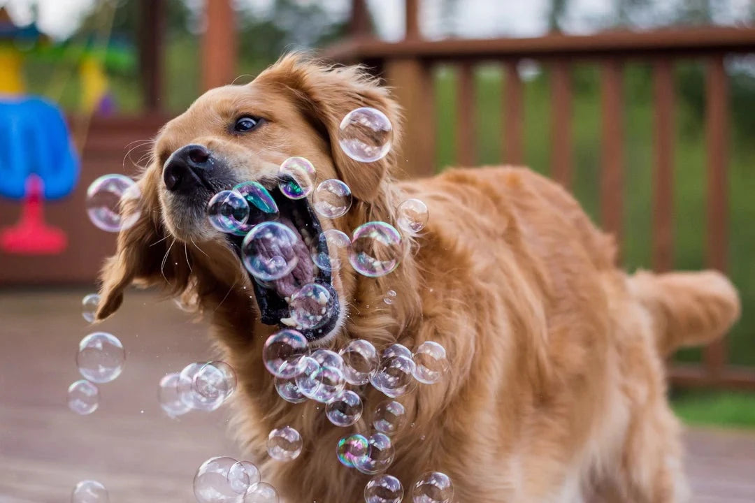Atomic Puppy Love Bubbles